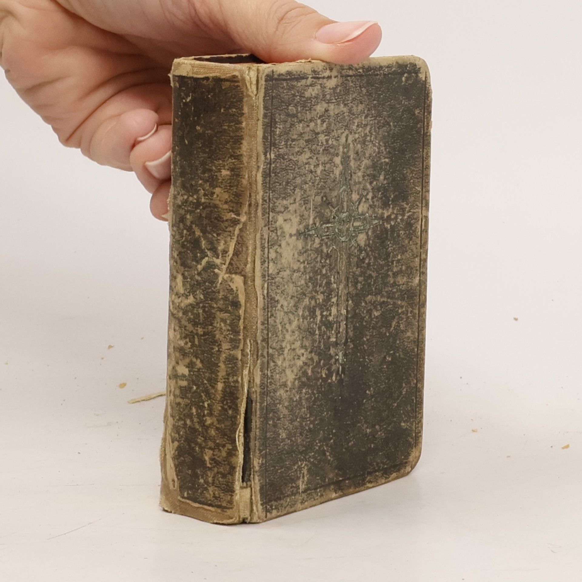 Autorenkollektiv Die betende Mutter. Vereins-Gebetbuch für die Mitglieder der Erzbruderschaft der christlichen Mütter. Vermehrt durch Andachten zu Ehren der heiligen Familie.
