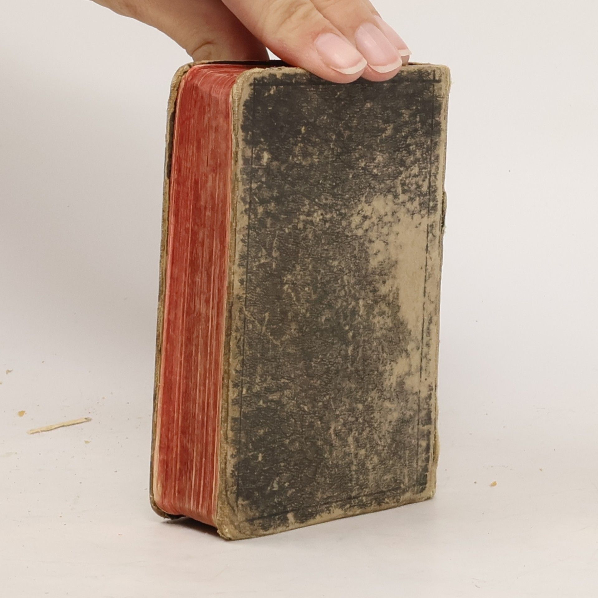 Autorenkollektiv Die betende Mutter. Vereins-Gebetbuch für die Mitglieder der Erzbruderschaft der christlichen Mütter. Vermehrt durch Andachten zu Ehren der heiligen Familie.