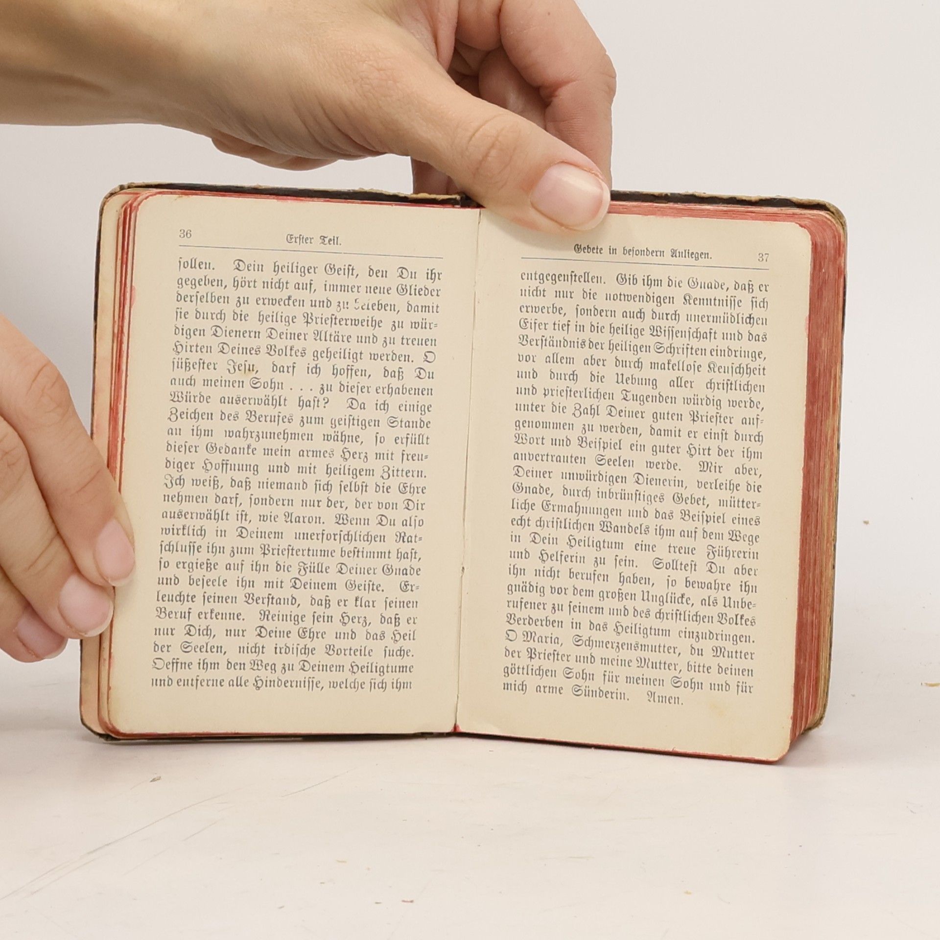 Autorenkollektiv Die betende Mutter. Vereins-Gebetbuch für die Mitglieder der Erzbruderschaft der christlichen Mütter. Vermehrt durch Andachten zu Ehren der heiligen Familie.