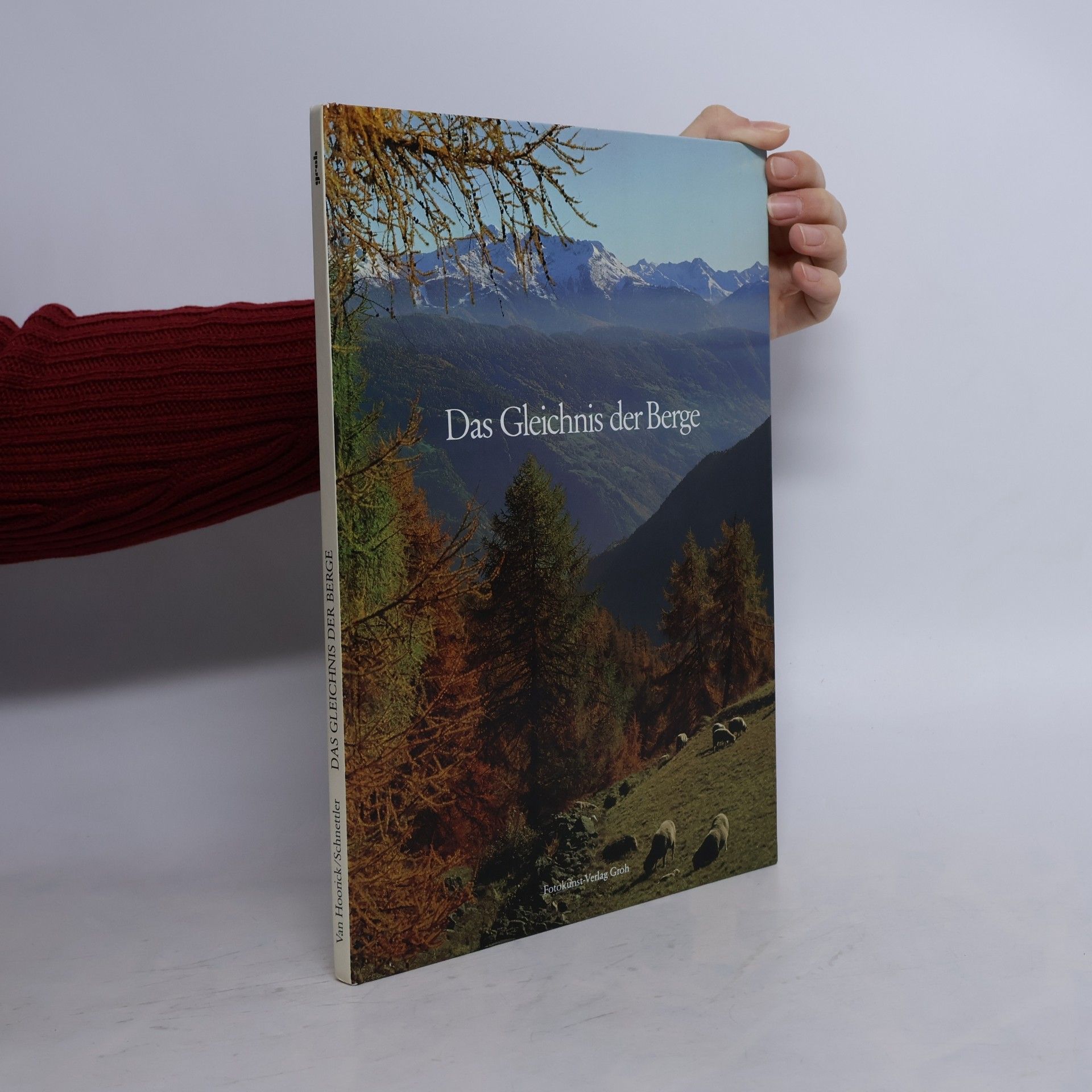 Das Gleichnis der Berge