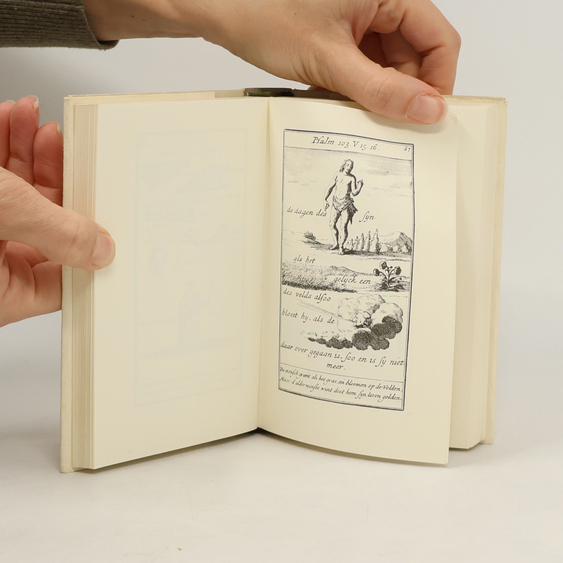 Various authors De Kleine Print Bijbel