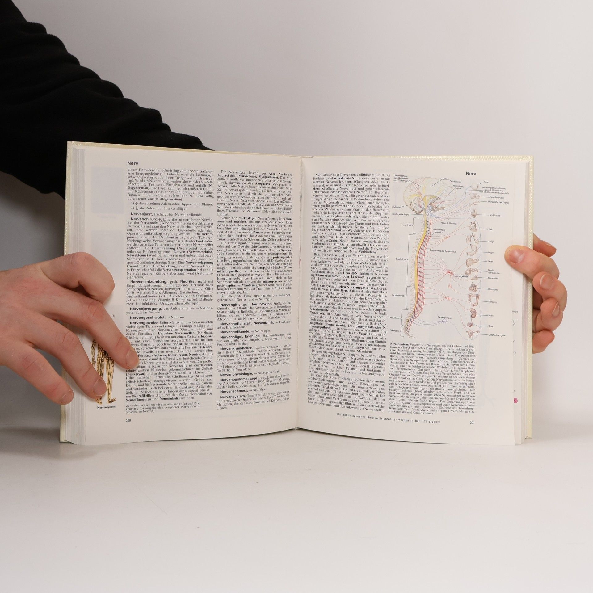 Autores varios Der grosse Brockhaus 15