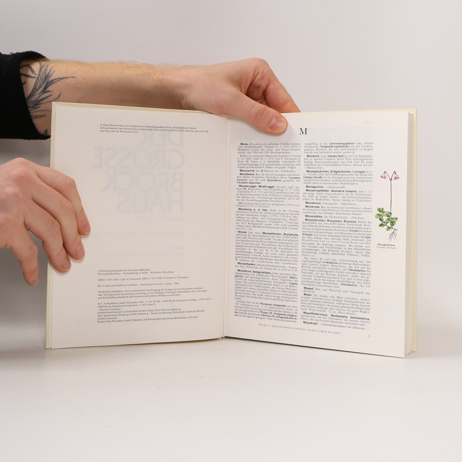 Autores varios Der grosse Brockhaus 15