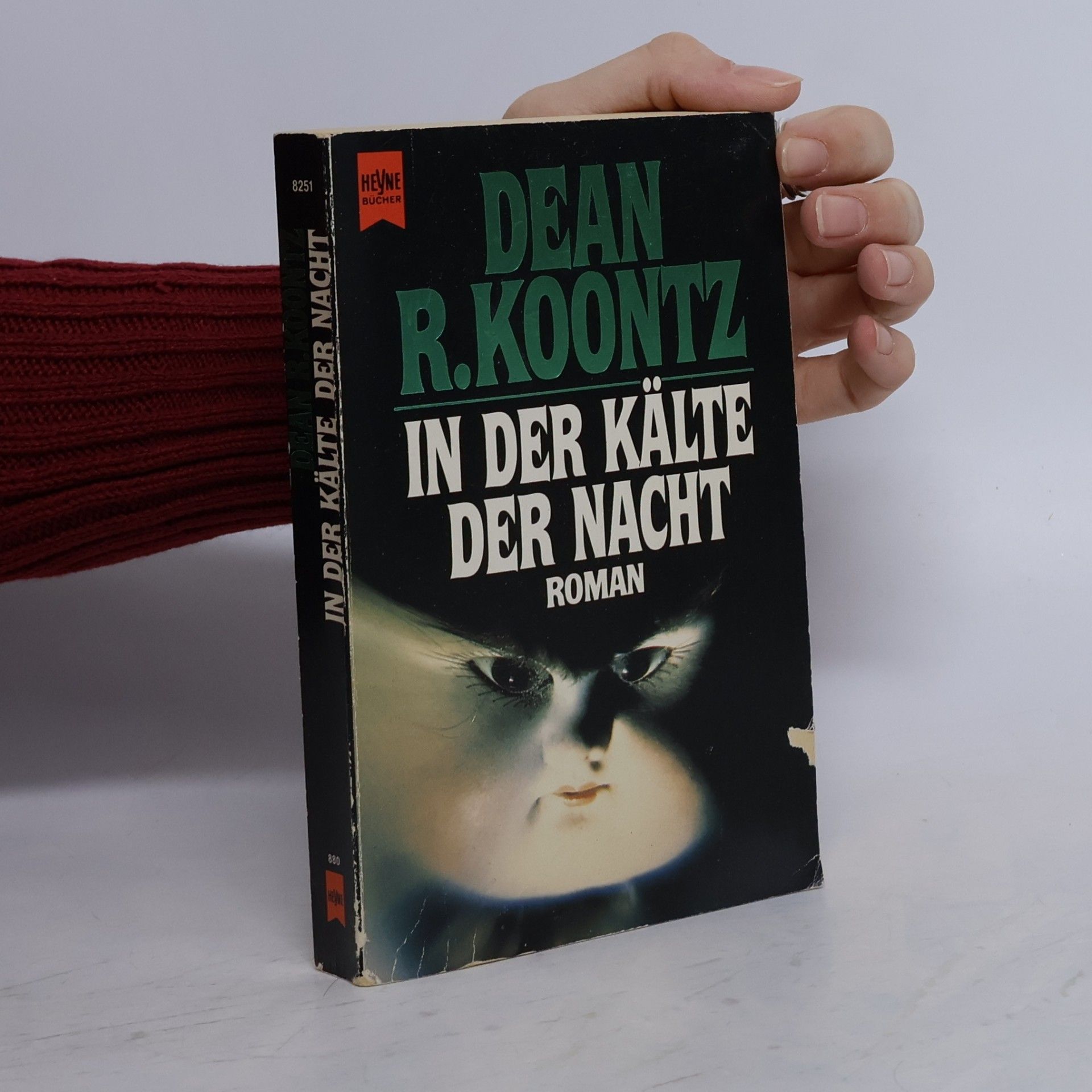 Dean Ray Koontz In der Kälte der Nacht