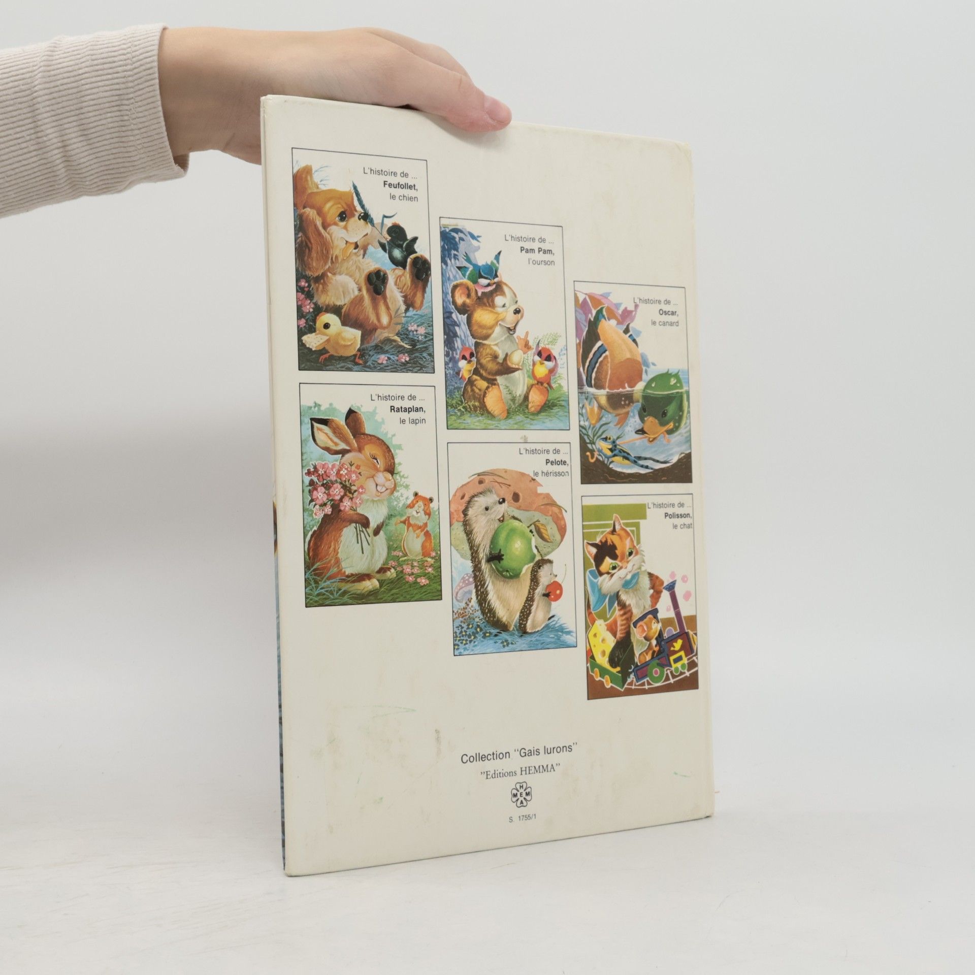 Collectif d'auteurs L'histoire de... Feufollet