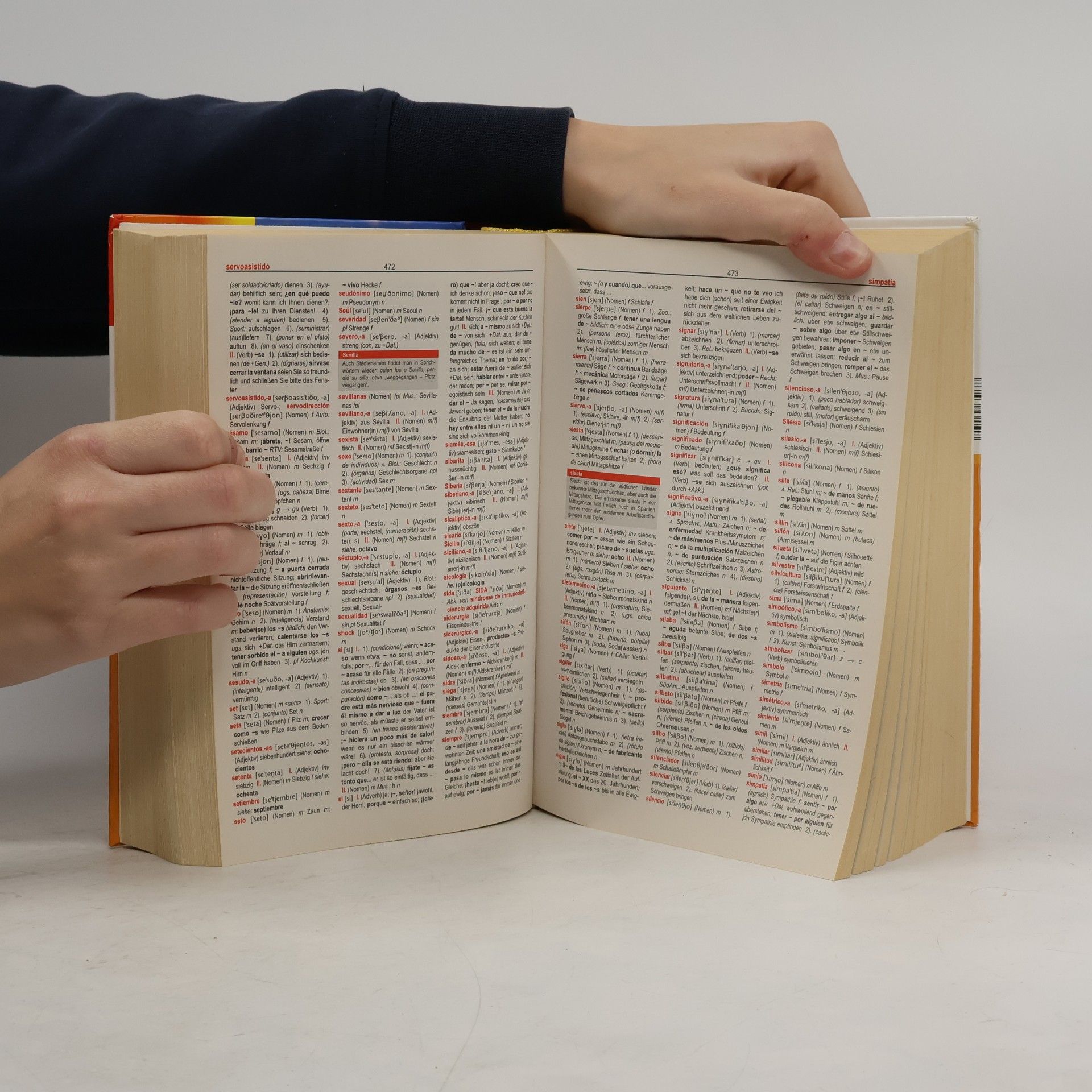 Digital Vision Wörterbuch Spanisch
