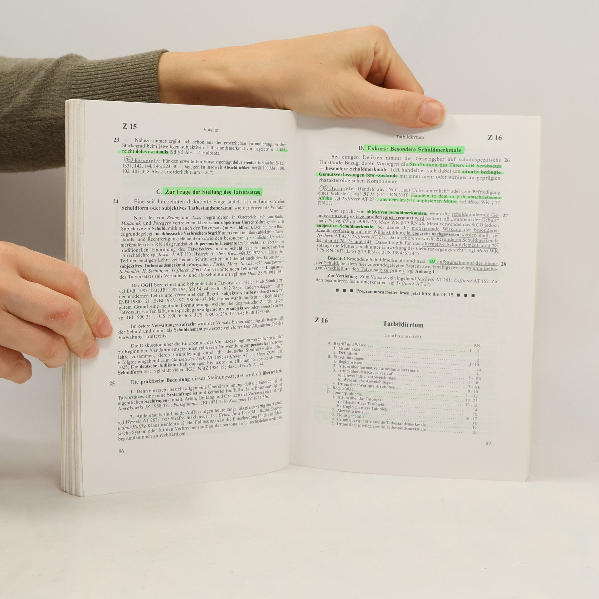 Diethelm Kienapfel Grundriß des österreichischen Strafrechts