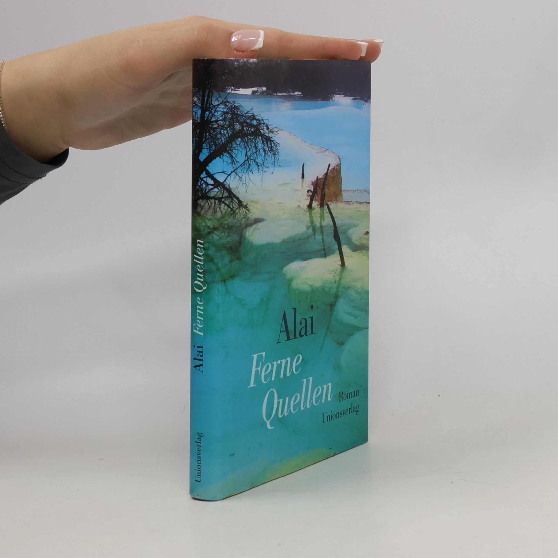 Ferne Quellen