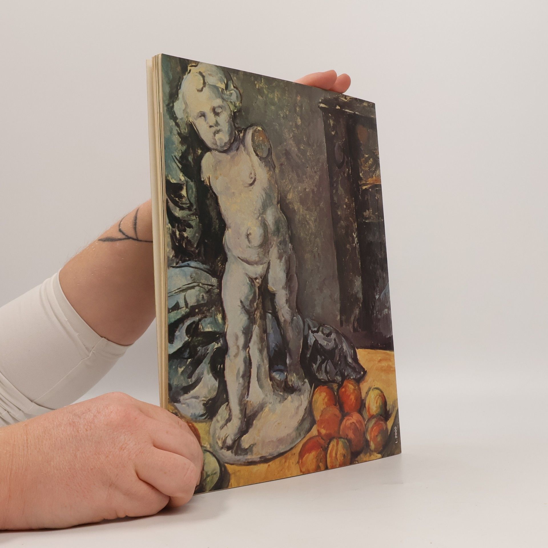 Daniela Fonti Cézanne