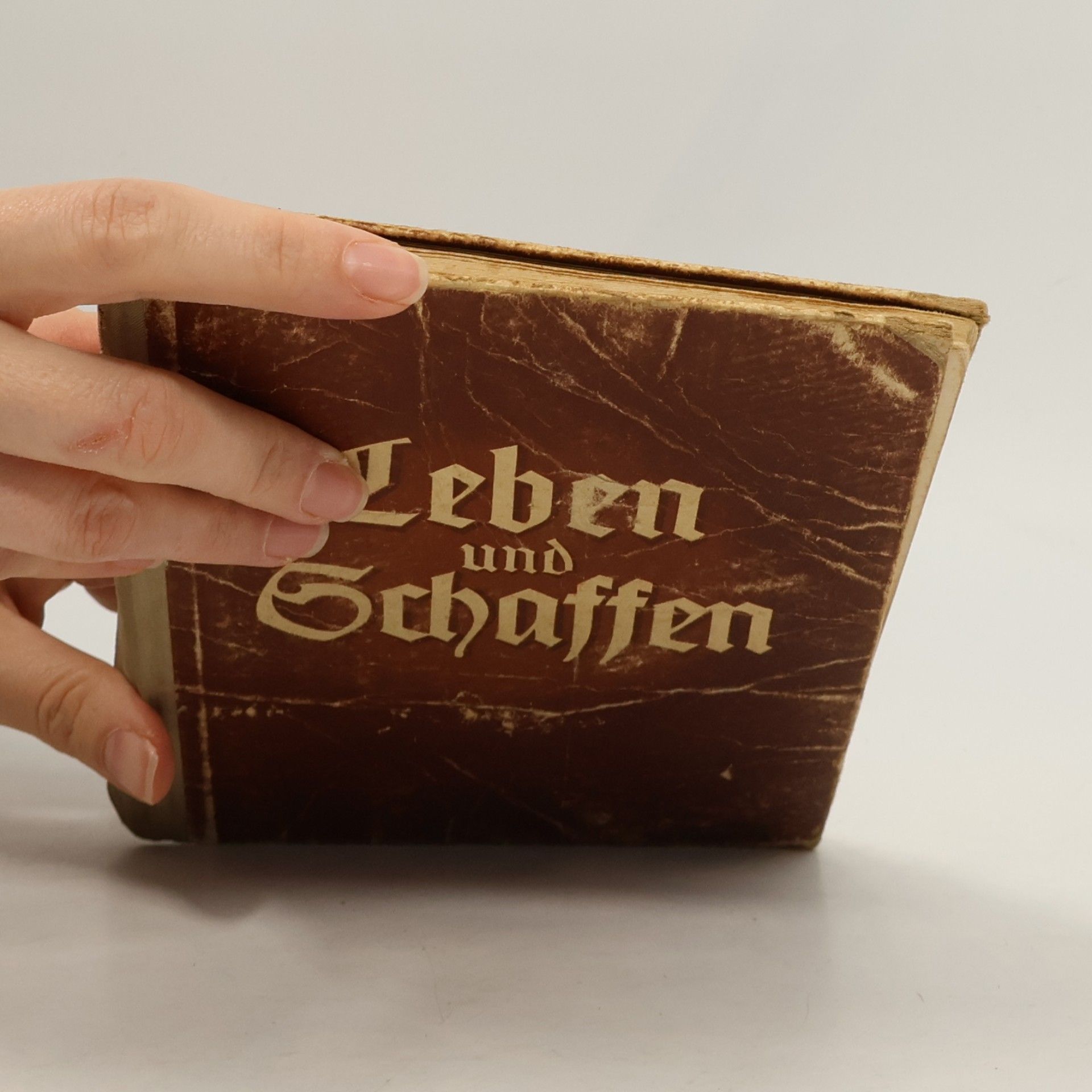 Kolektiv autorů Leben und Schaffen
