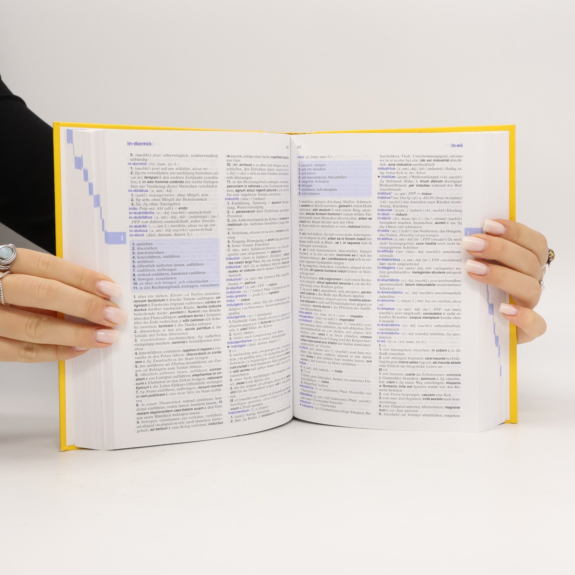 Rachele Zoli Sudbrock Langenscheidt, Großes Schulwörterbuch Lateinisch-Deutsch