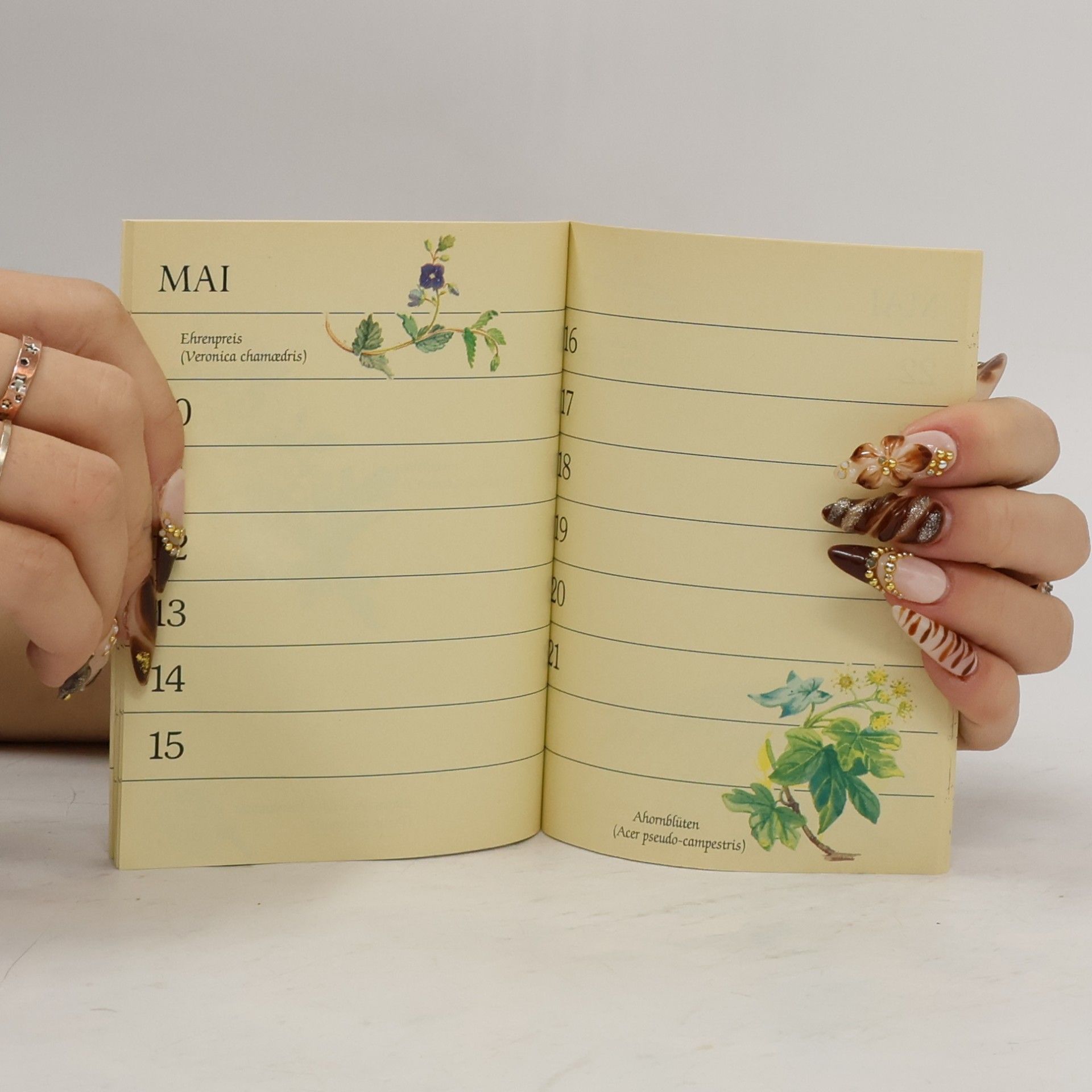 Edith Holden Der kleine Naturkalender