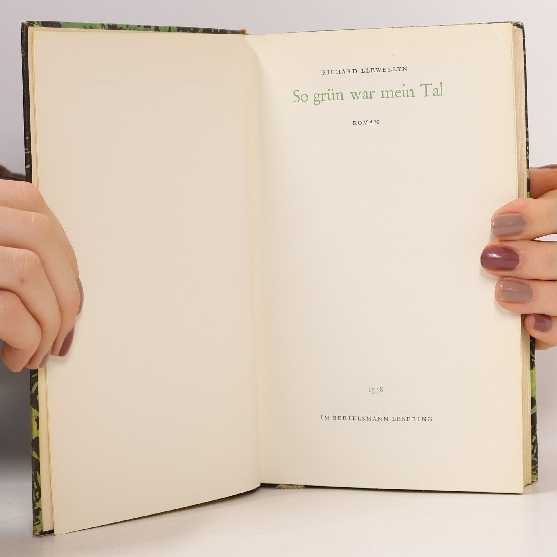 Richard Llewellyn So grün war mein Tal