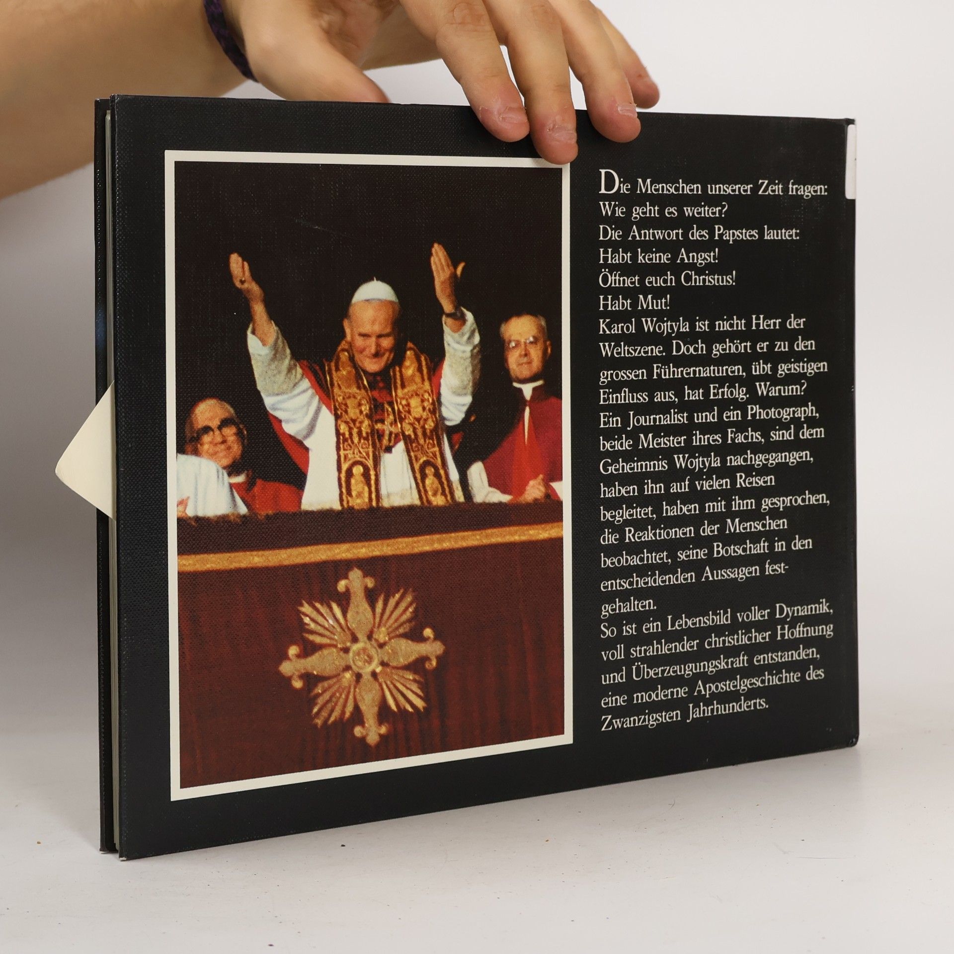 Luitpold A. Dorn Der Papst und seine Botschaft