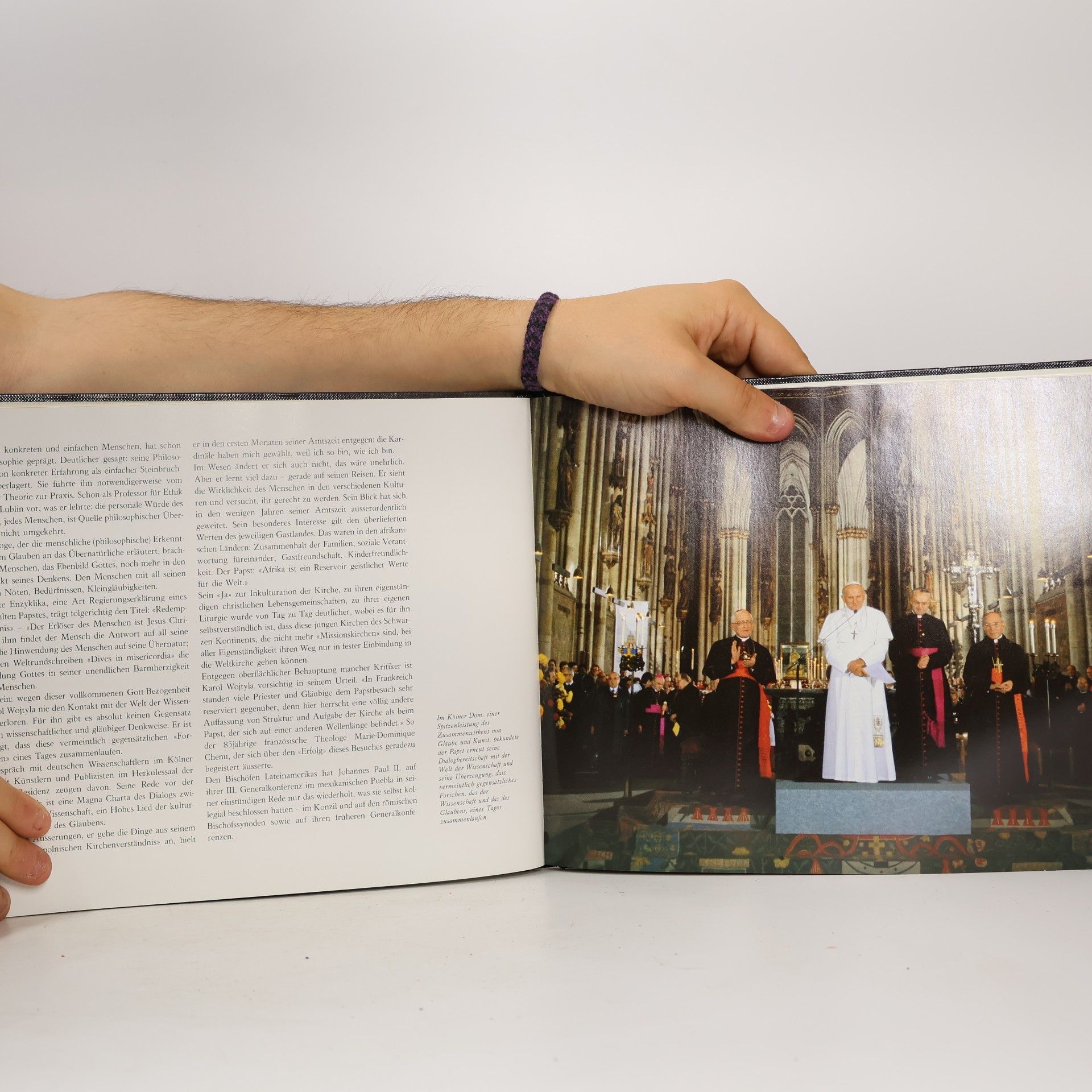 Luitpold A. Dorn Der Papst und seine Botschaft