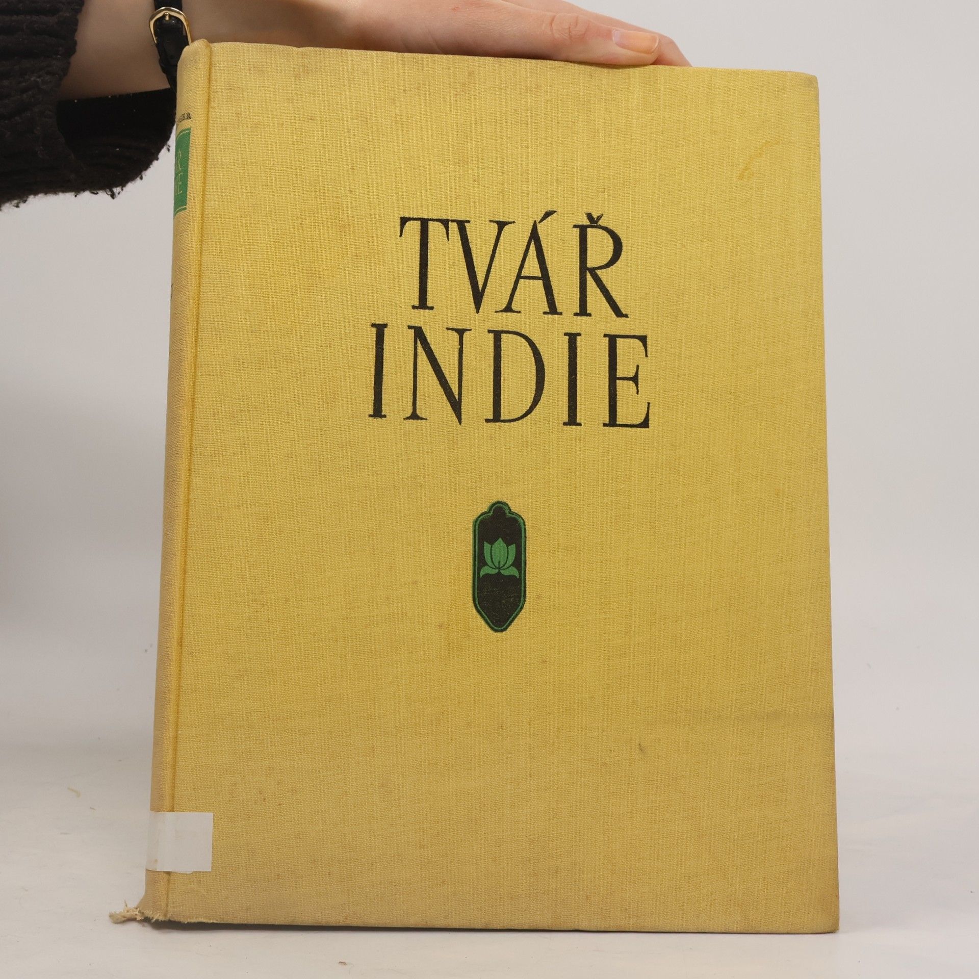 Erik Singer Tvář Indie