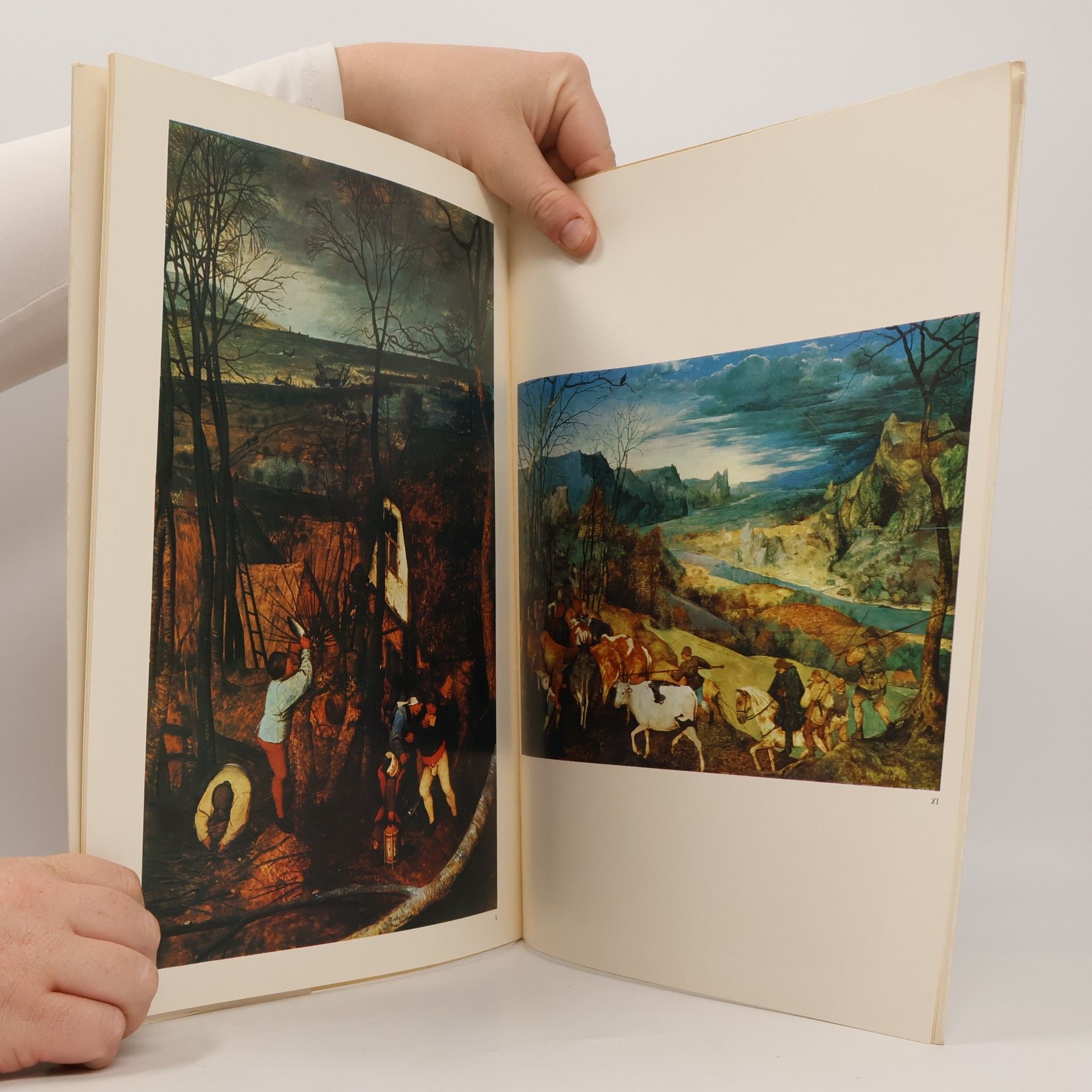 AA.VV. Bruegel II. I maestri del colore