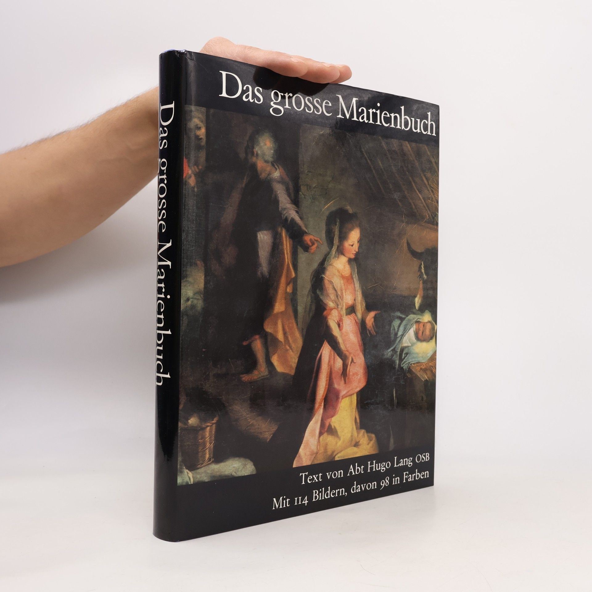 Das grosse Marienbuch