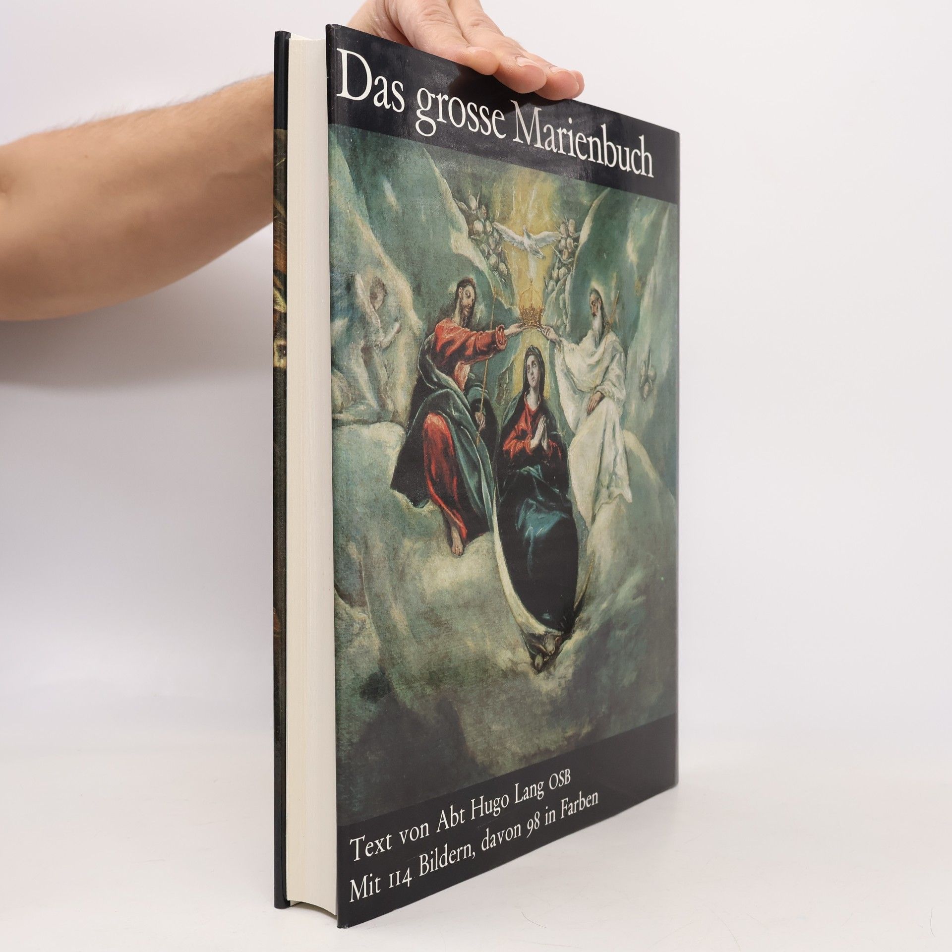 Hugo Lang Das grosse Marienbuch
