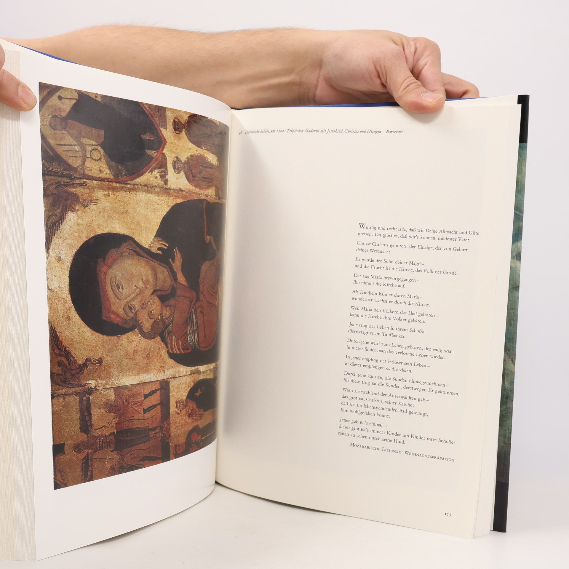 Hugo Lang Das grosse Marienbuch