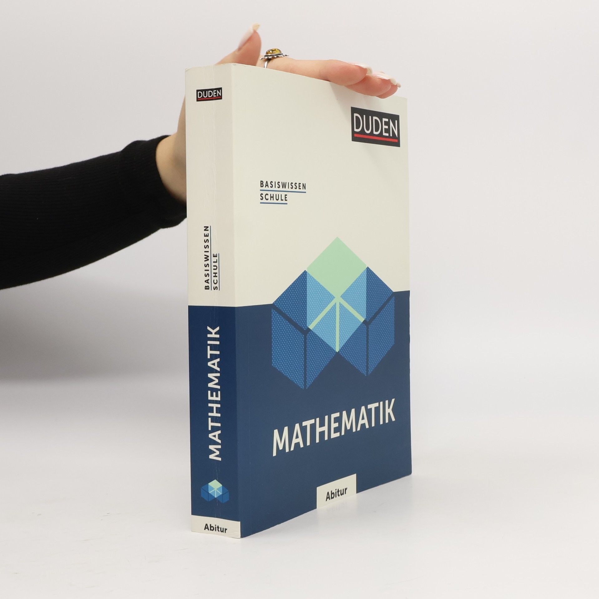 Basiswissen Schule - Mathematik Abitur