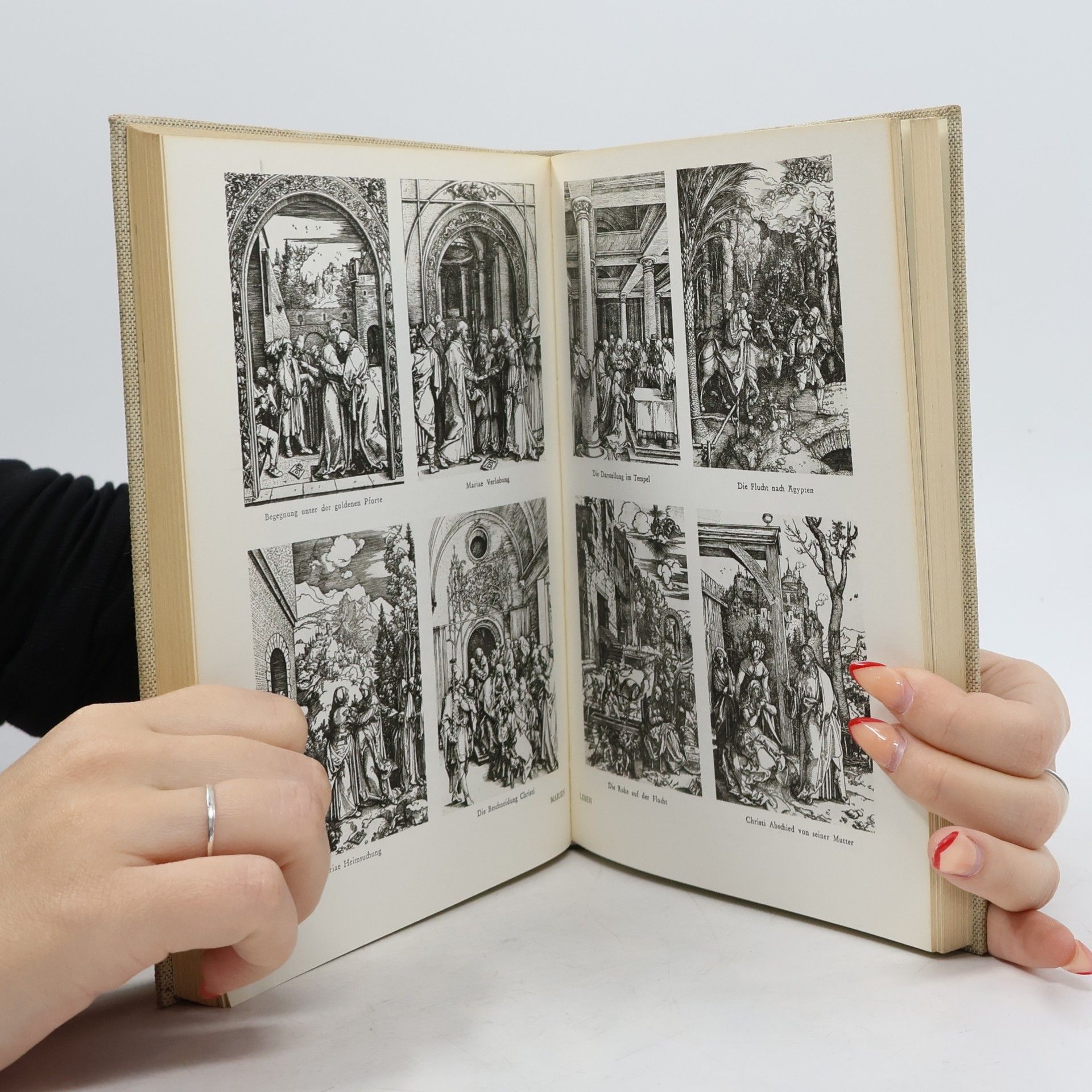 Albrecht Dürer Albrecht Dürer: Der Mensch und sein Werk