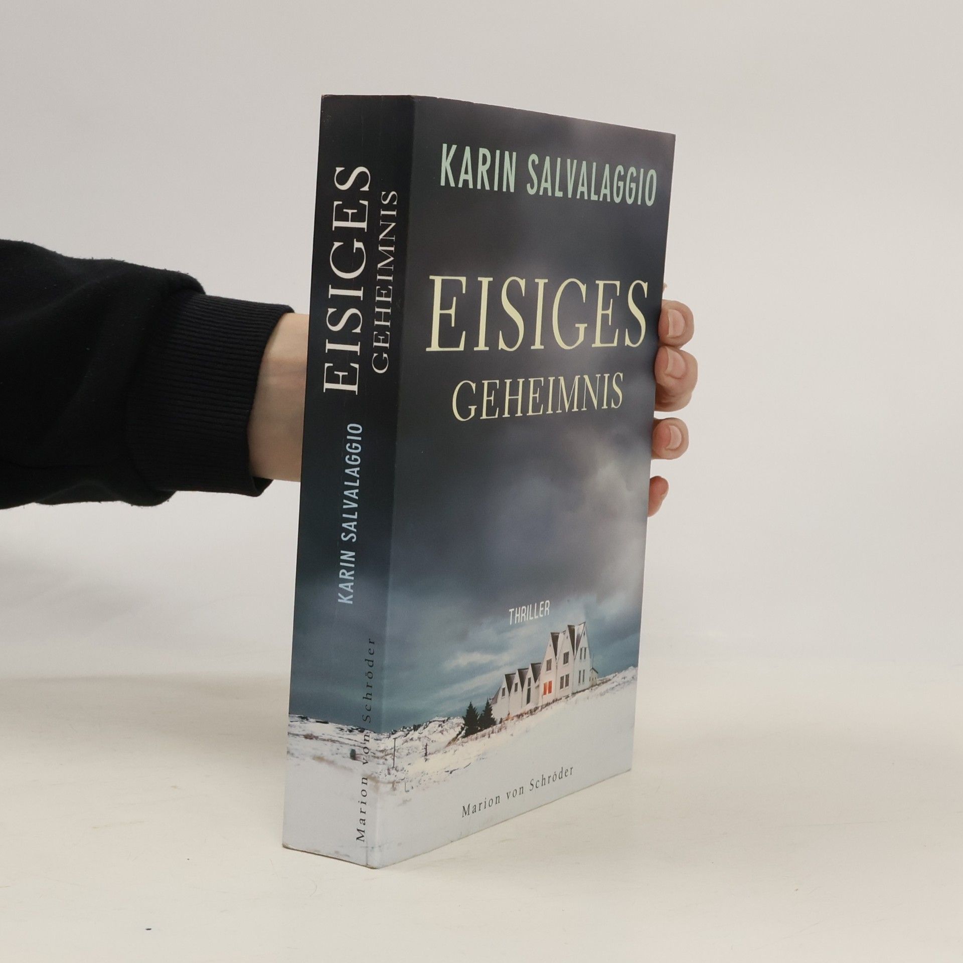 Karin Salvalaggio Eisiges Geheimnis