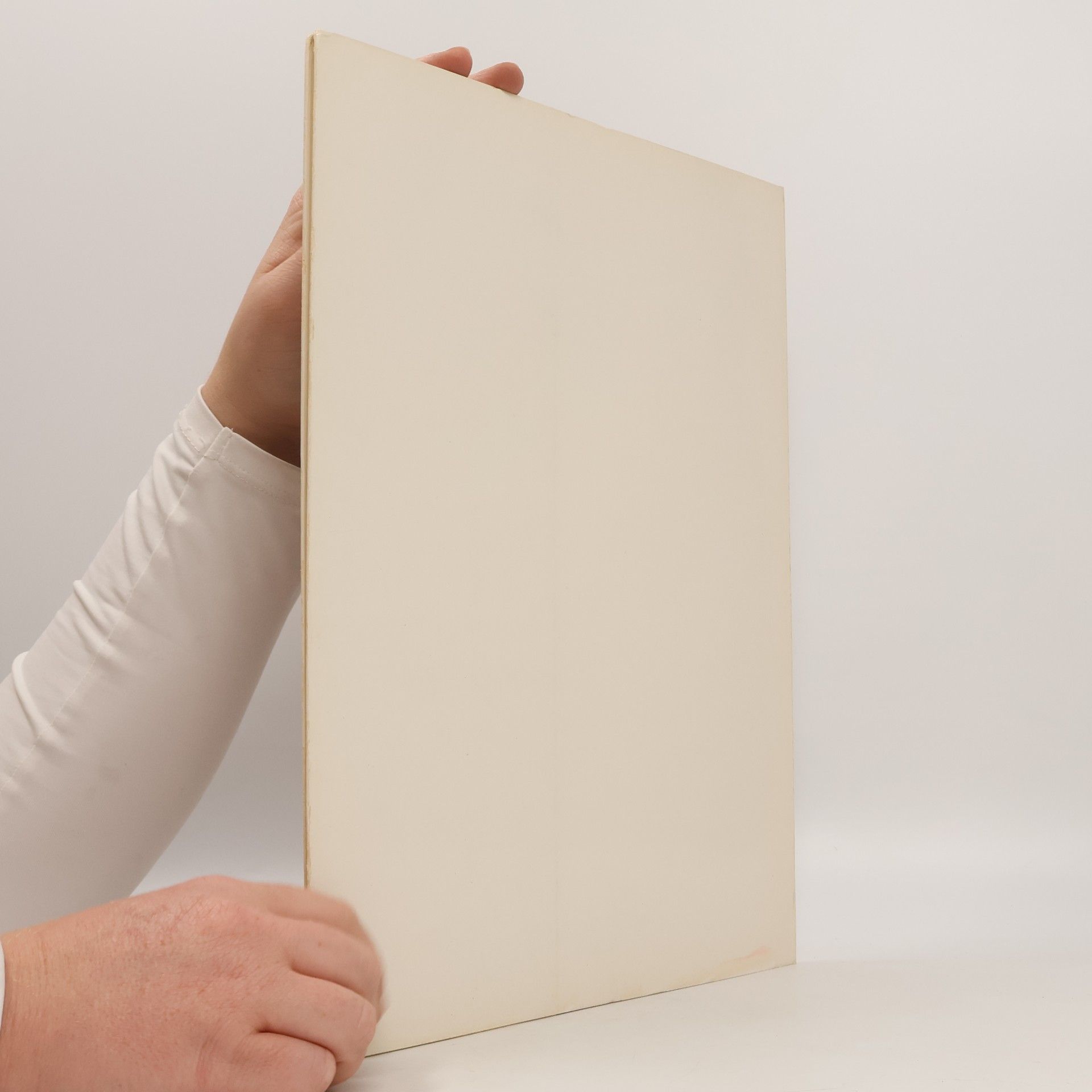 Collectif d'auteurs I maestri del colore 5. : Correggio