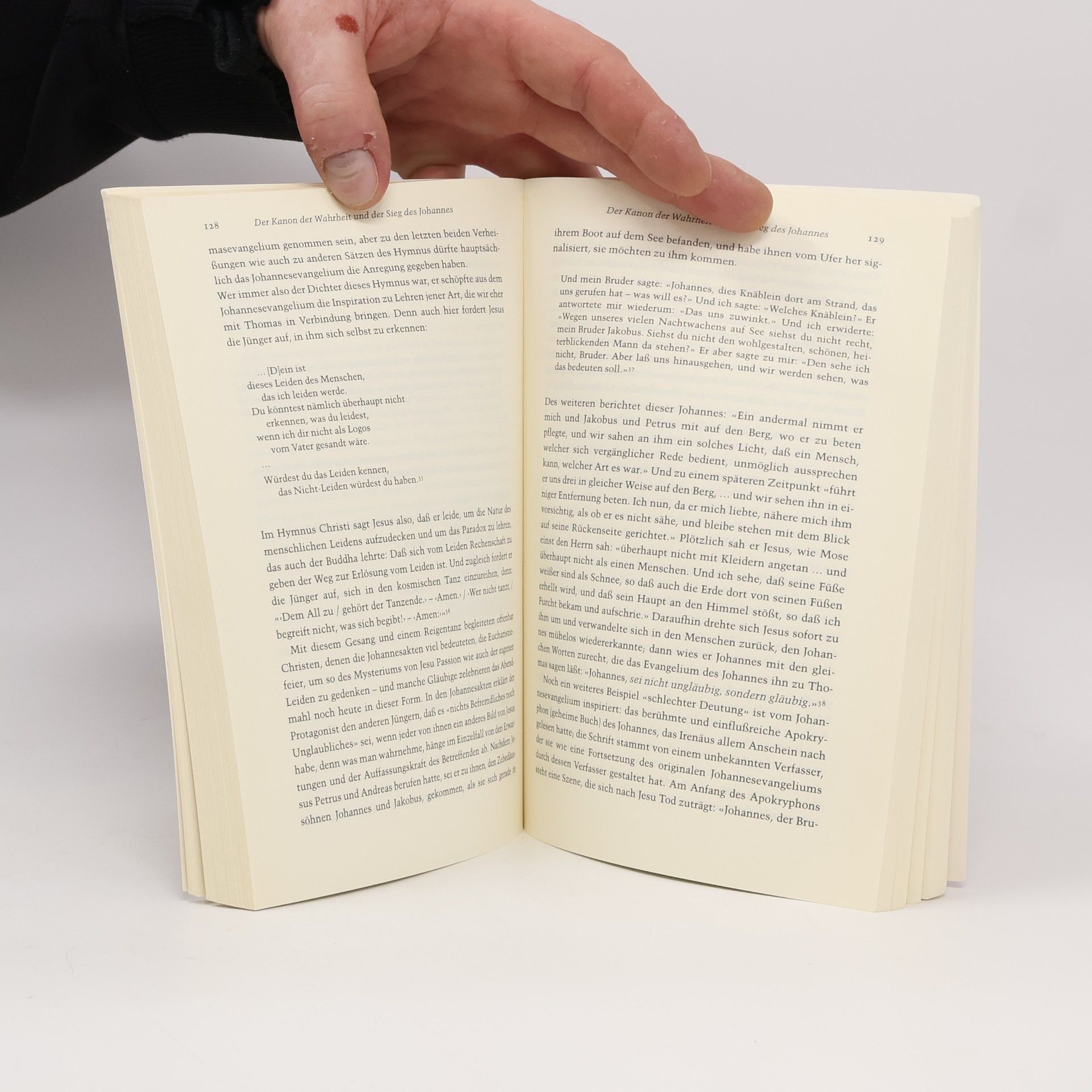 Elaine Pagels Das Geheimnis des fünften Evangeliums