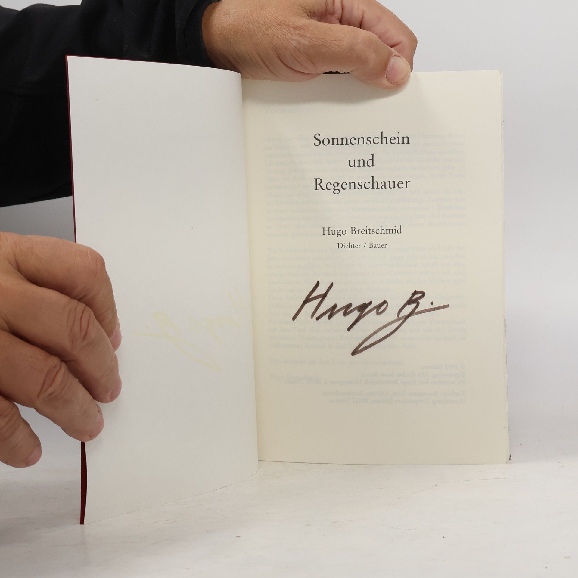 Hugo Breitschmid Sonnenschein und Regenschauer