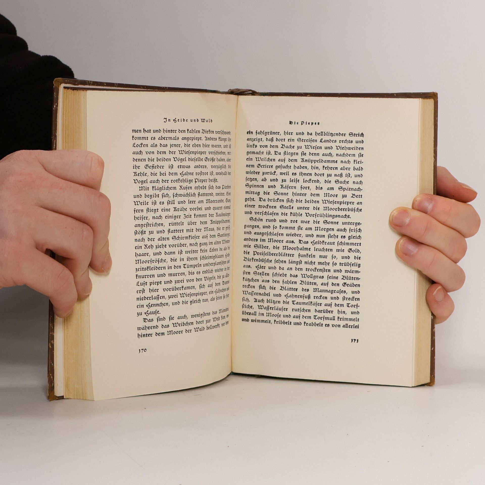 Autorenkollektiv Die Reise um die Welt