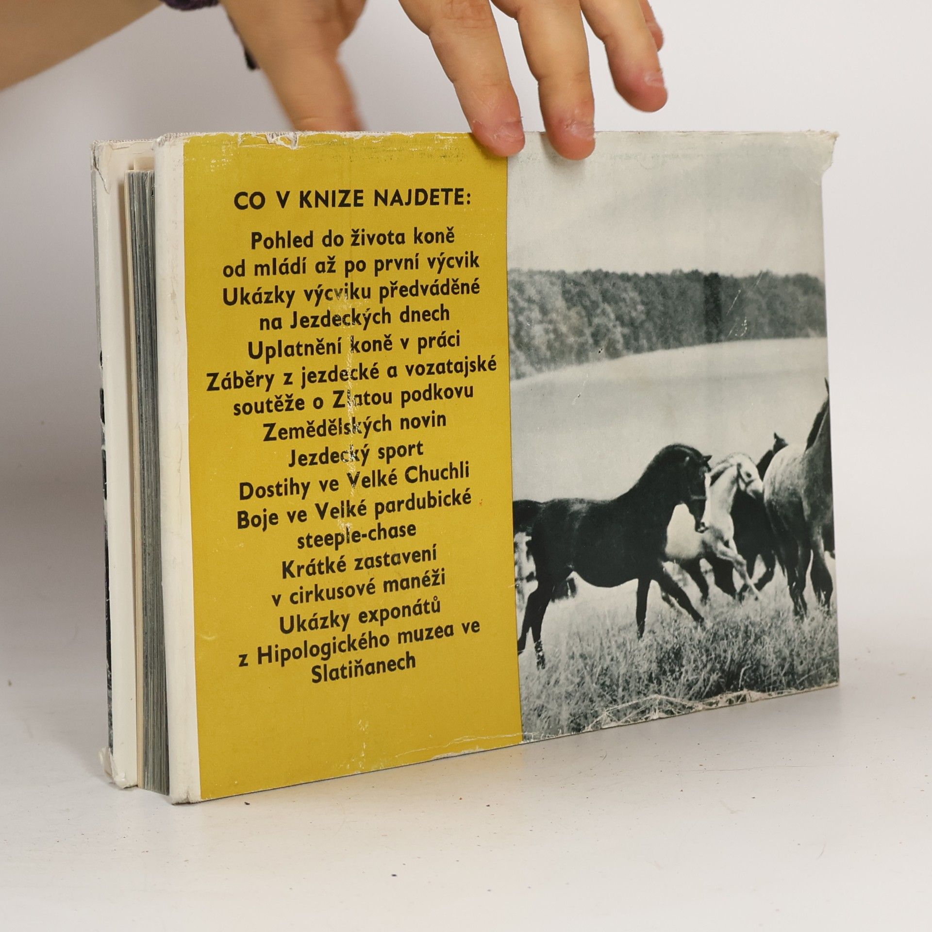 Jaroslav Humpál Síla a krása