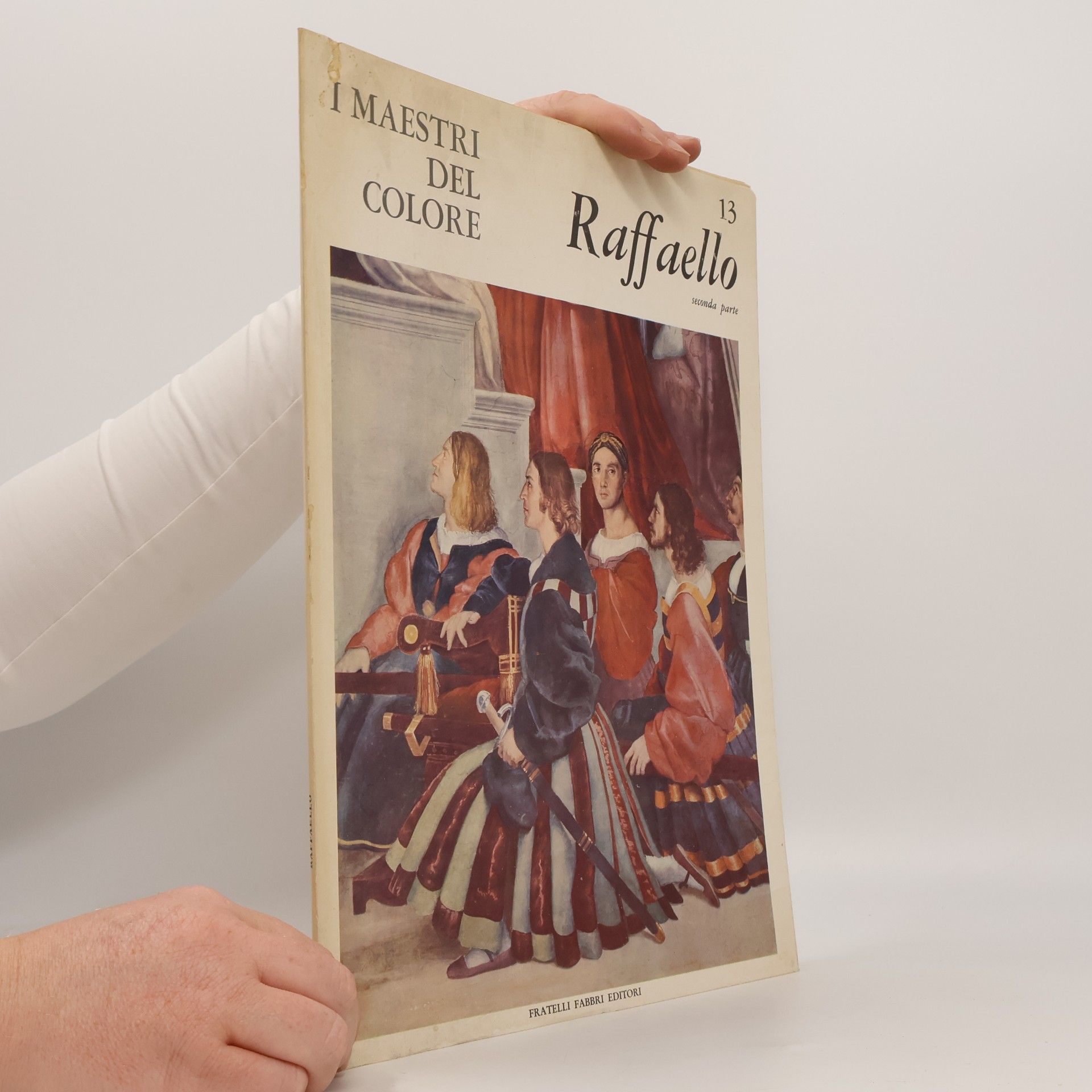 AA.VV. I maestri del colore 13. Raffaello
