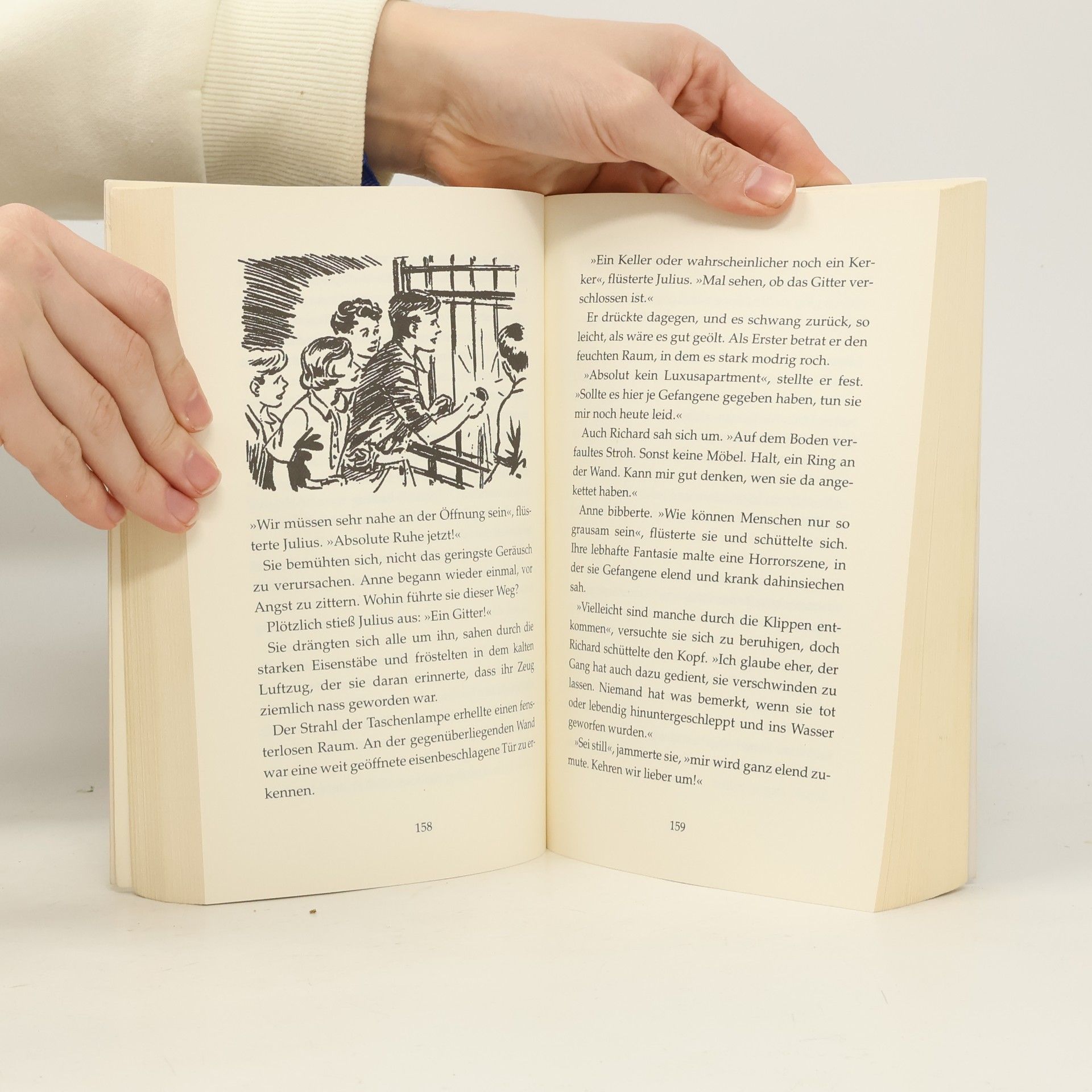 Enid Blyton Fünf Freunde - rätselhafte Geschehnisse