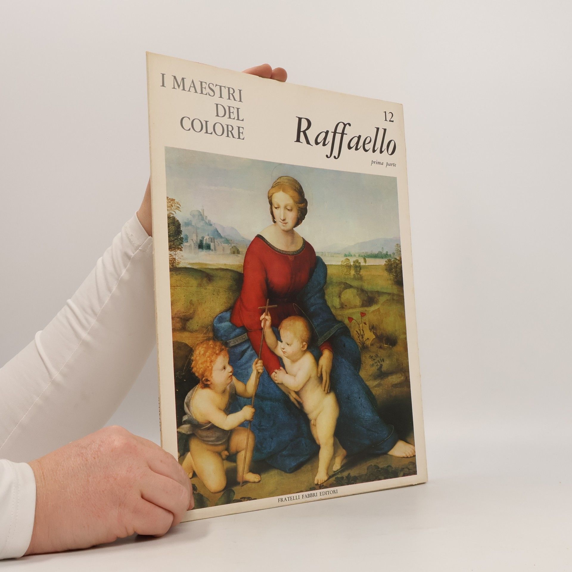 AA.VV. I maestri del colore 12. Raffaello