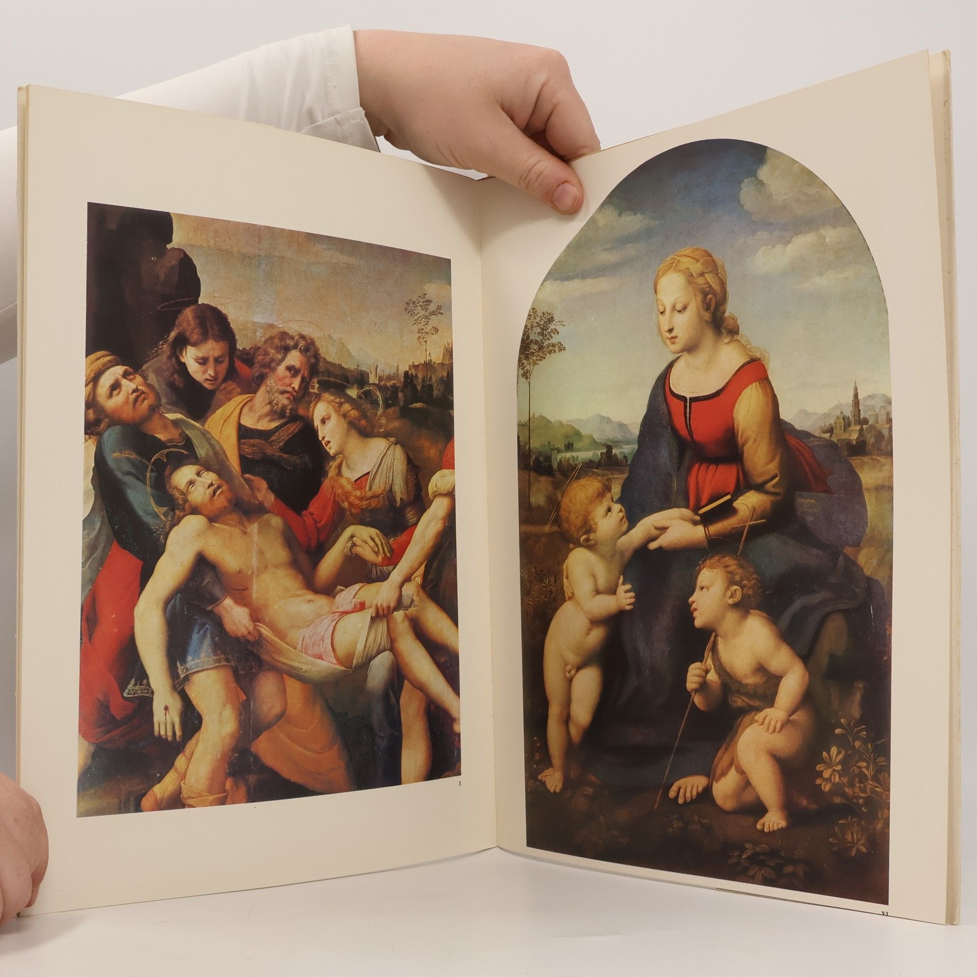 AA.VV. I maestri del colore 12. Raffaello