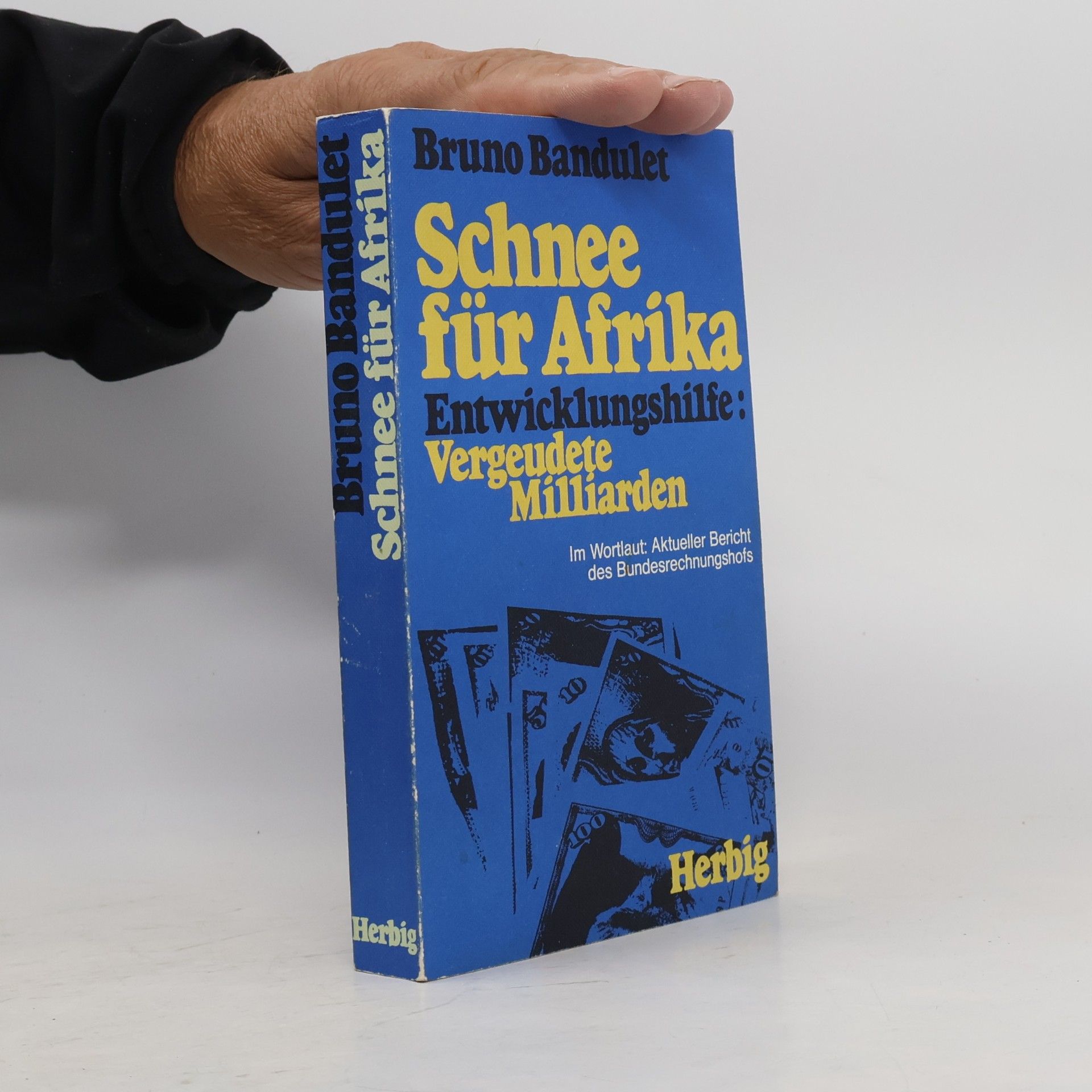 Bruno Bandulet Schnee für Afrika