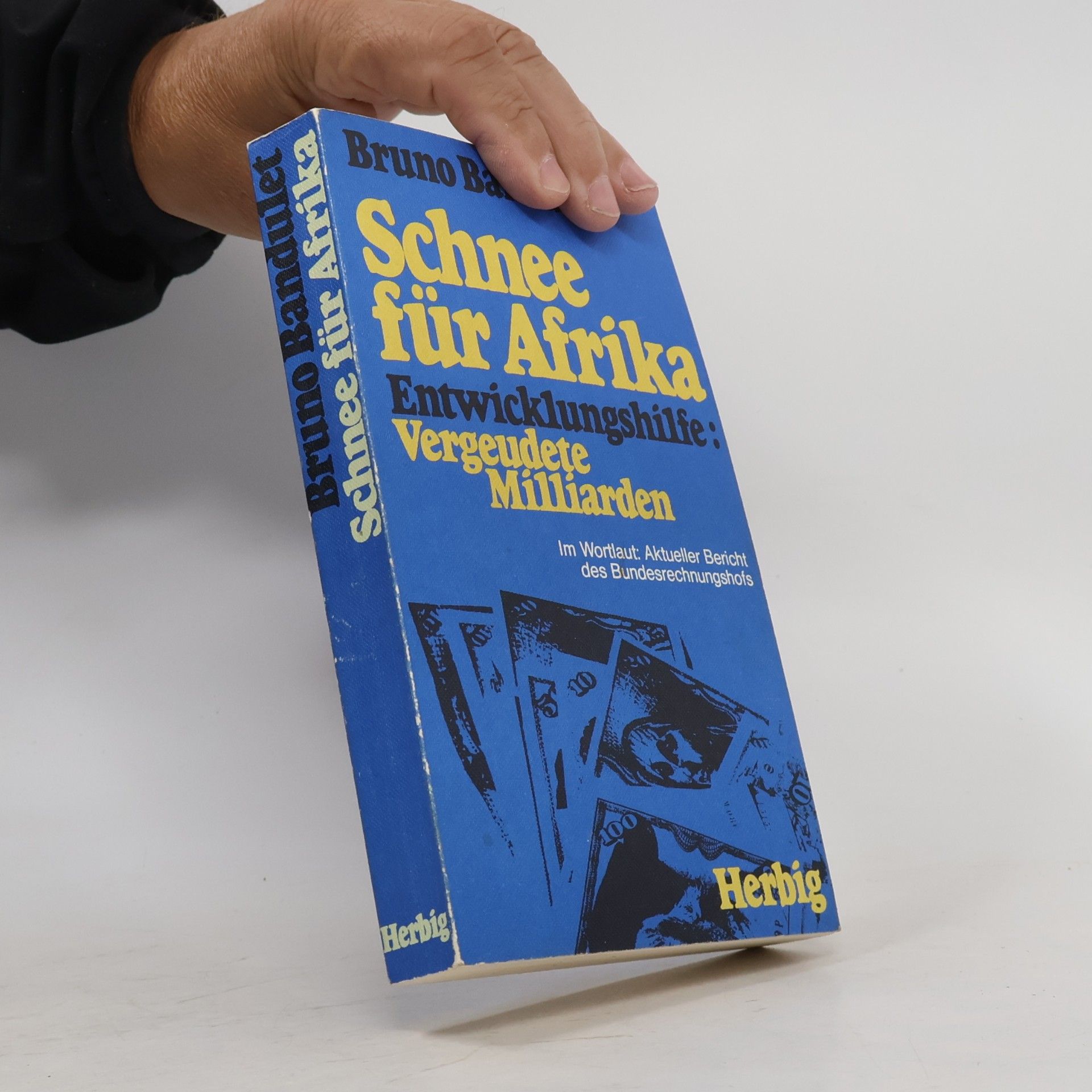 Bruno Bandulet Schnee für Afrika