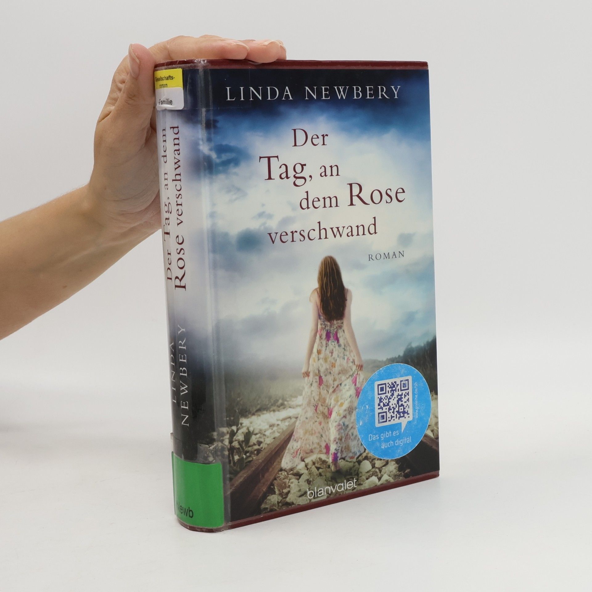 Linda Newbery Der Tag, an dem Rose verschwand