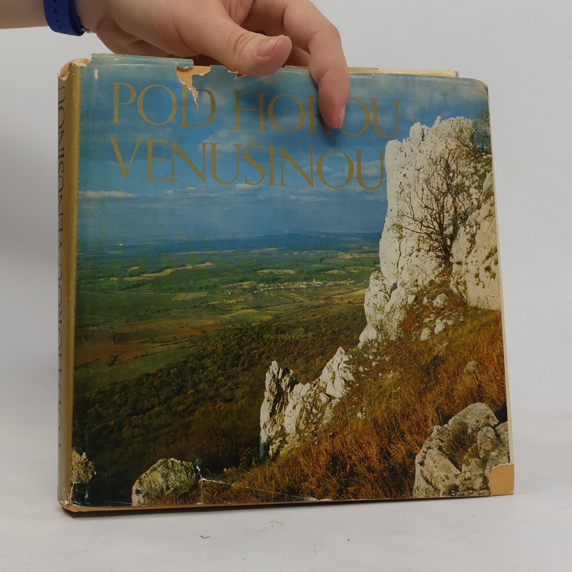 Jindřich Grepl Pod horou Venušinou