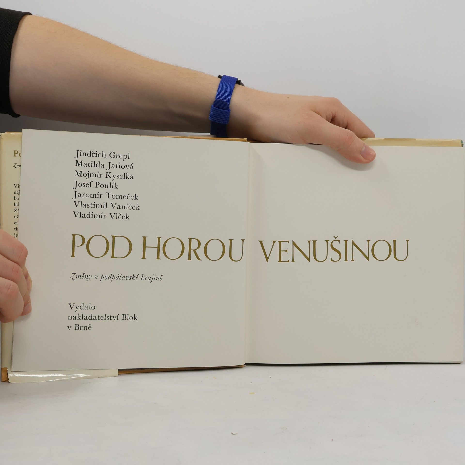 Jindřich Grepl Pod horou Venušinou