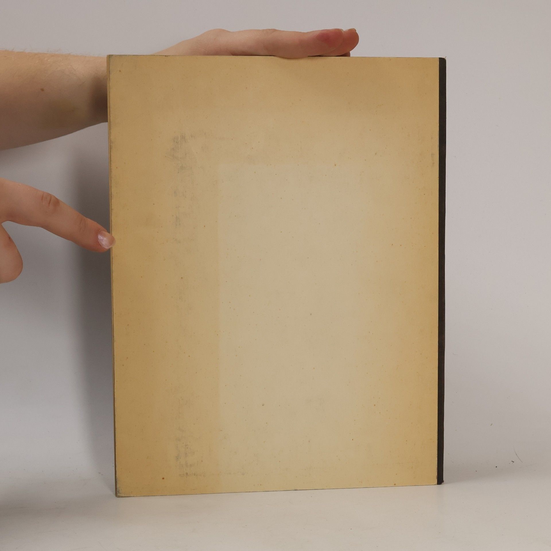 Albert Thümmel Deutsche Geschichte