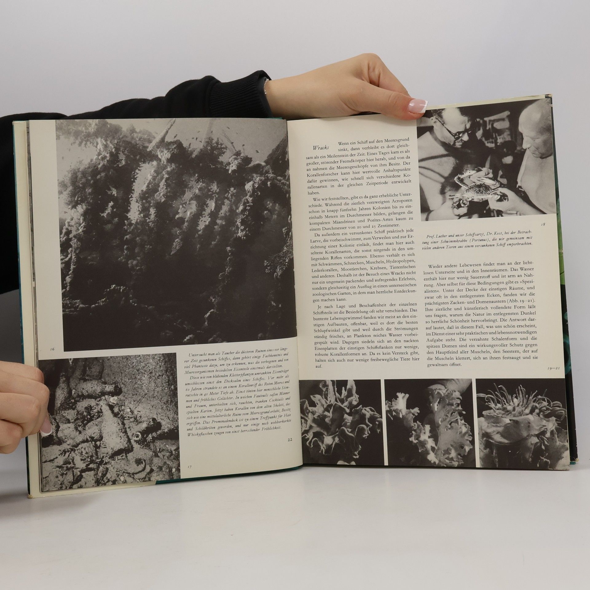 Hans Hass Expedition ins Unbekannte
