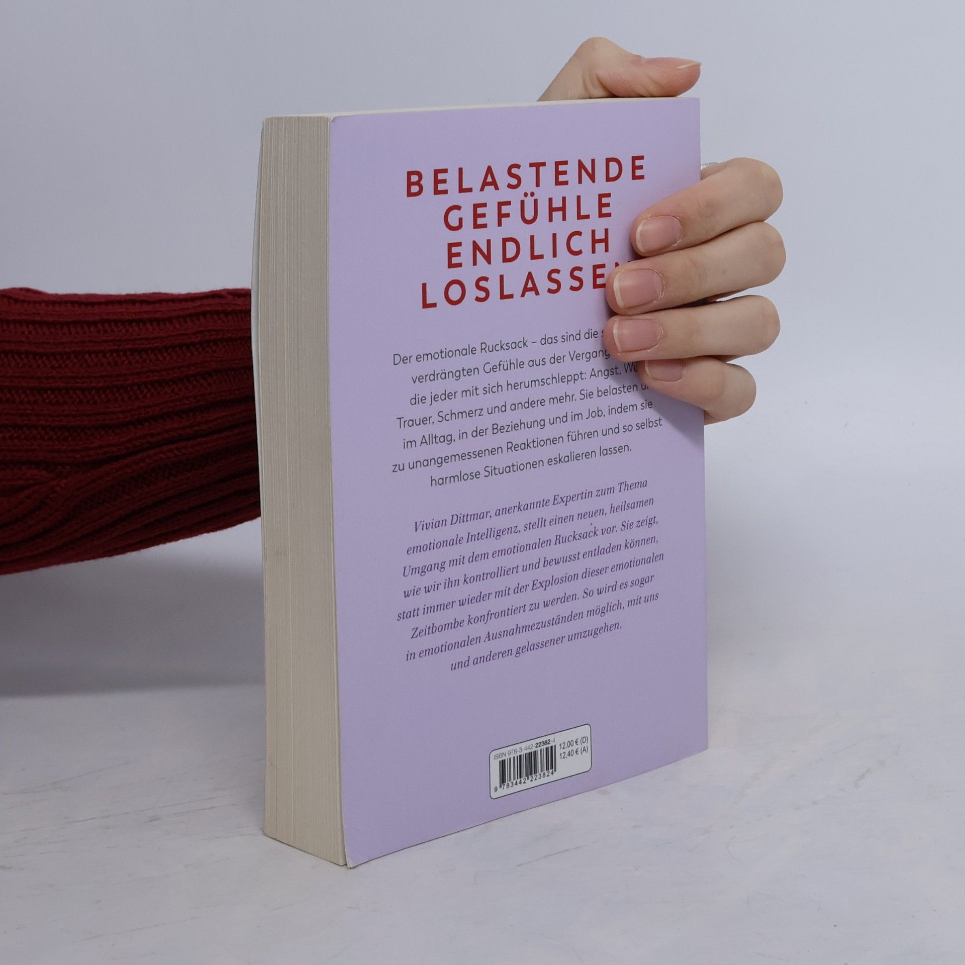 Vivian Dittmar Der emotionale Rucksack