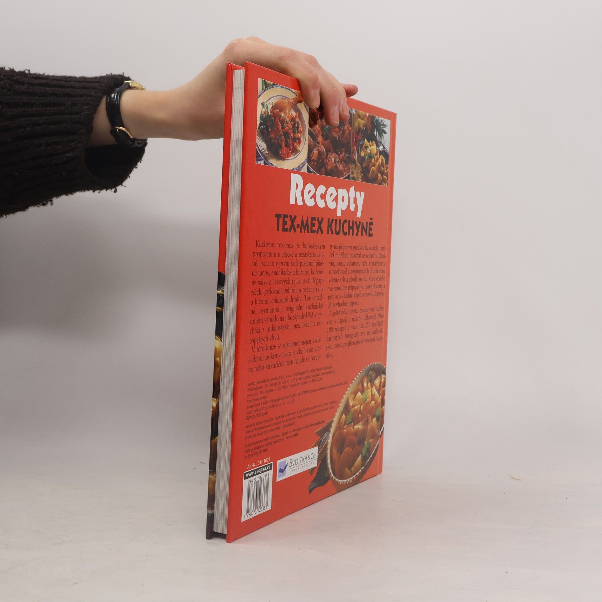 Kolektiv autorů Recepty Tex-Mex kuchyně