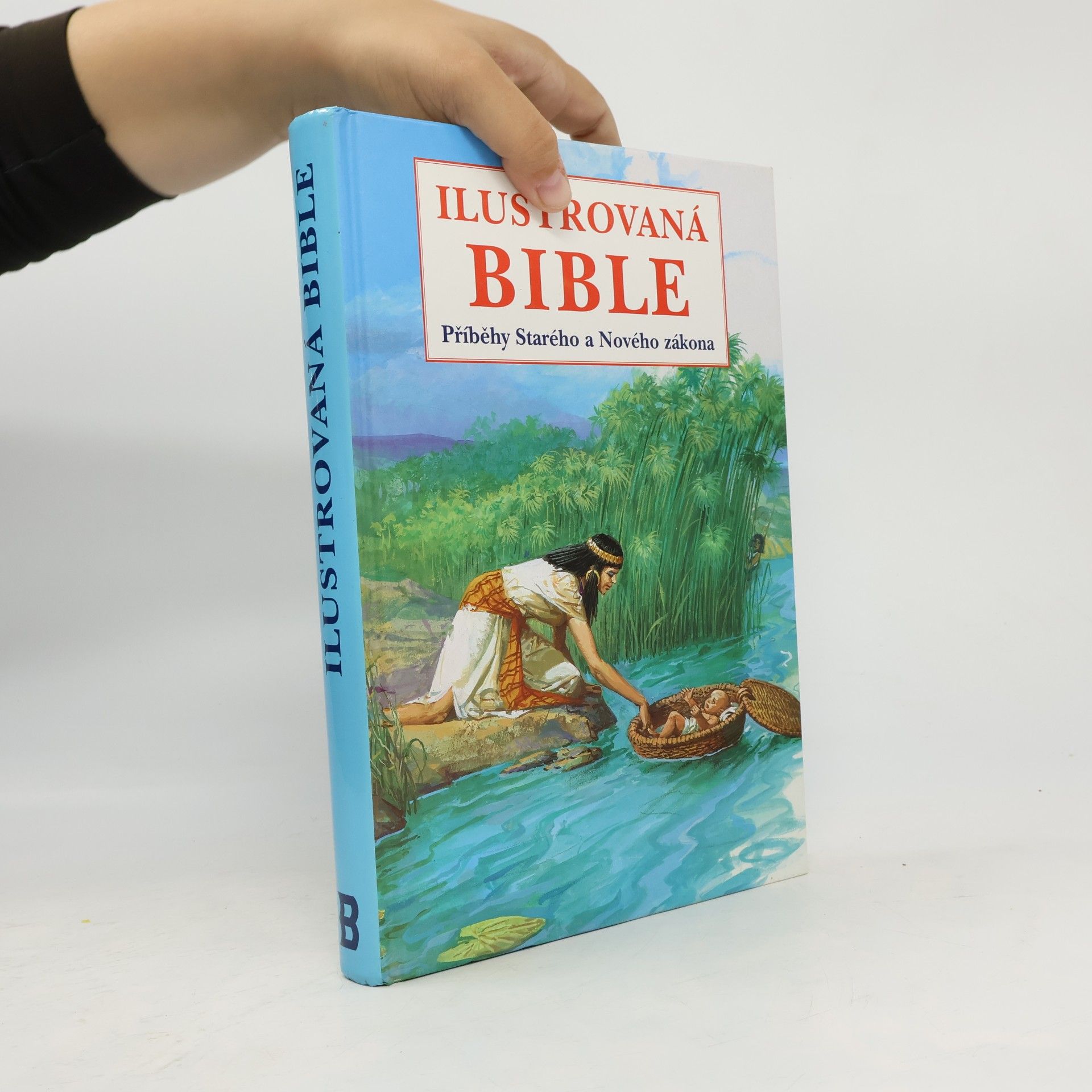 Ilustrovaná bible Příběhy Starého a Nového zákona