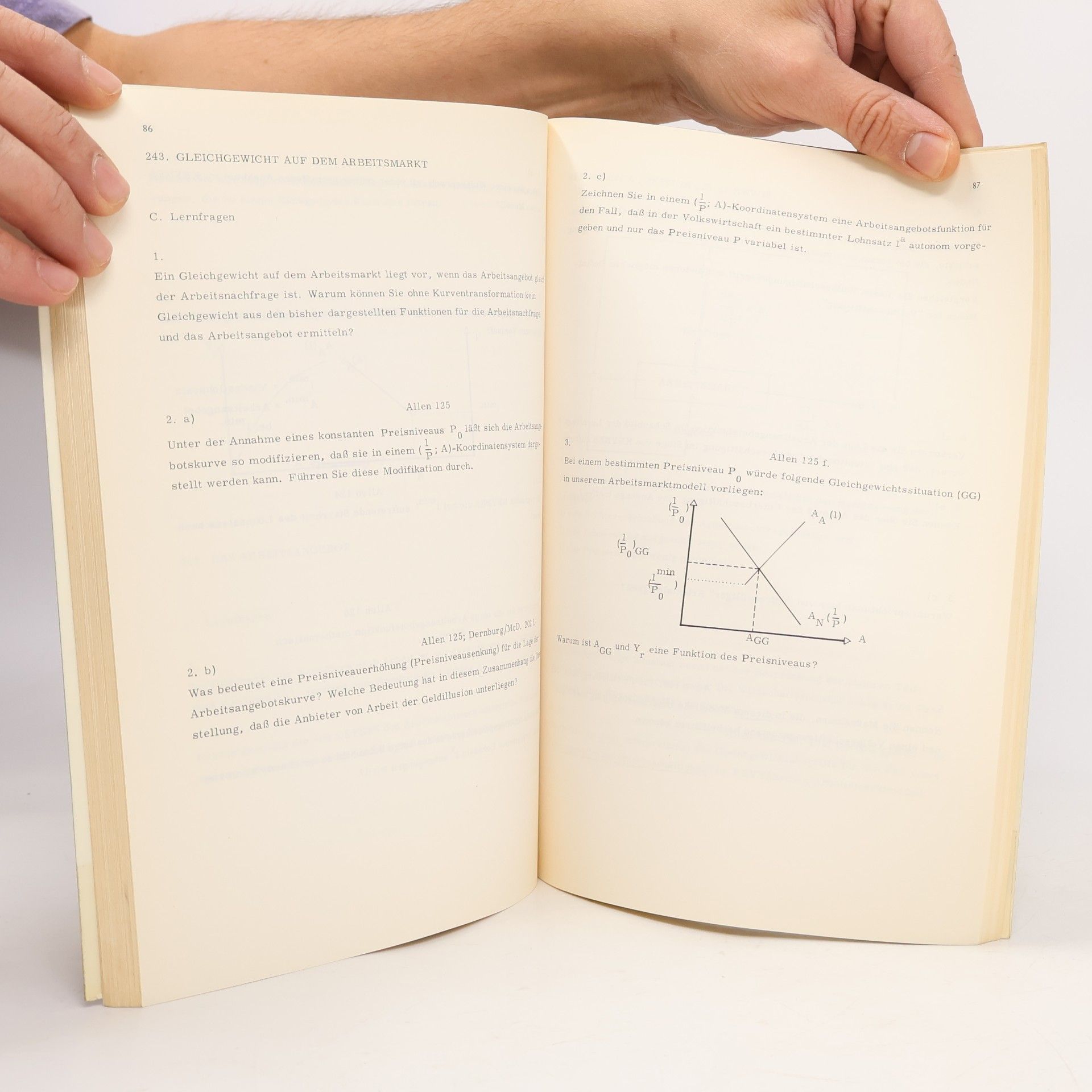 Ros Arbeitsbuch „Makroökonomische Theorie” 8