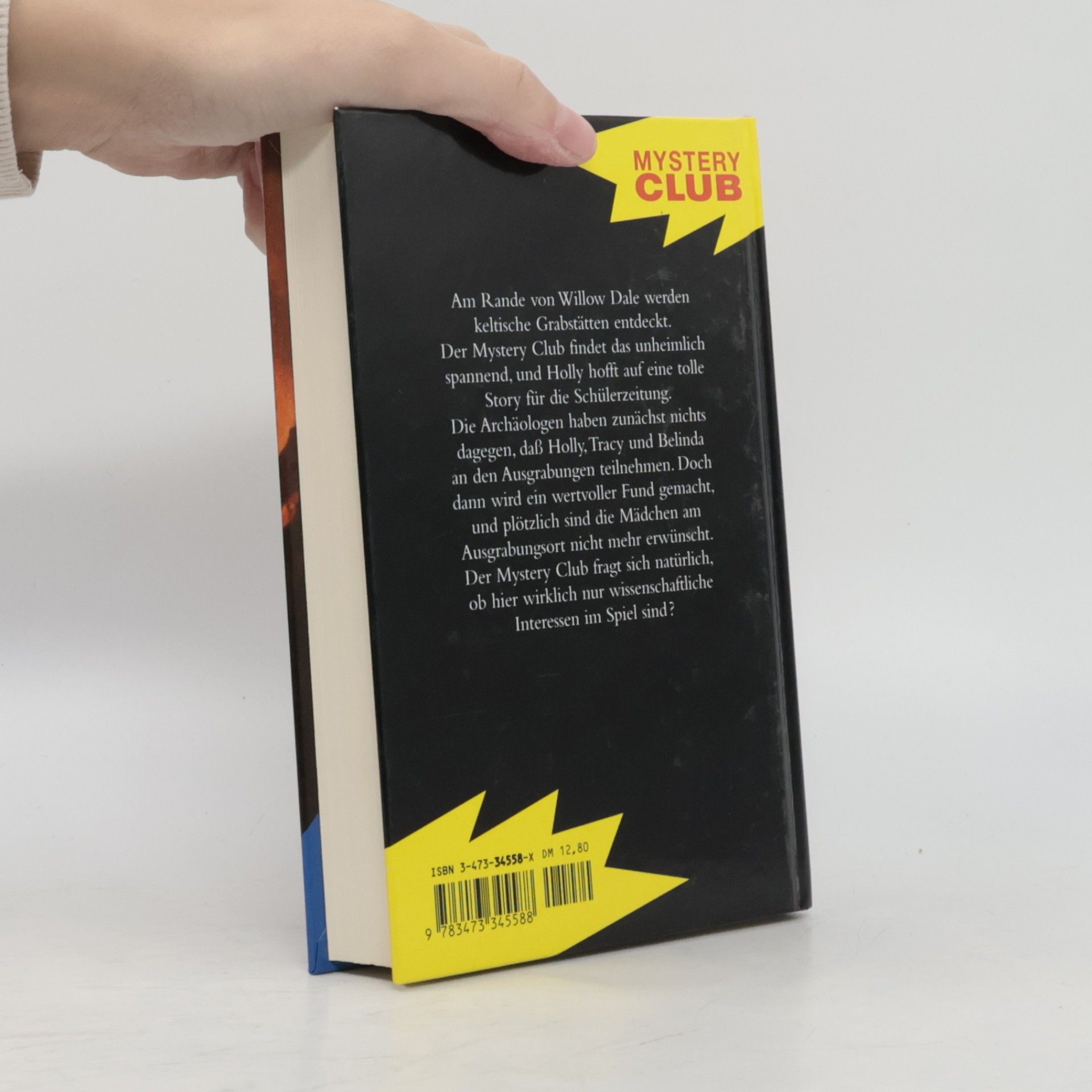 Fiona Kelly Mystery Club 8. Der falsche Schatzsucher