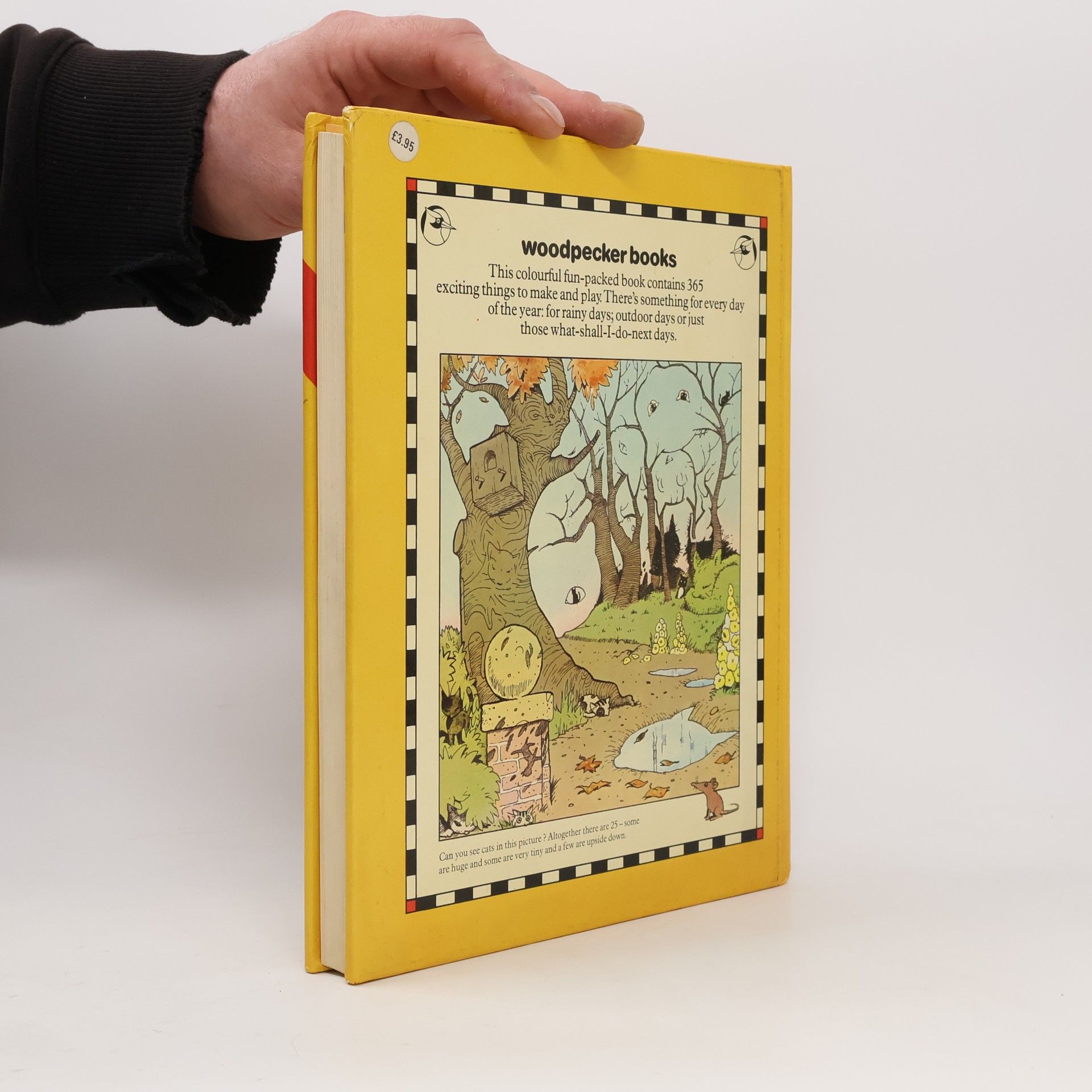 The Bumper Fun Book
