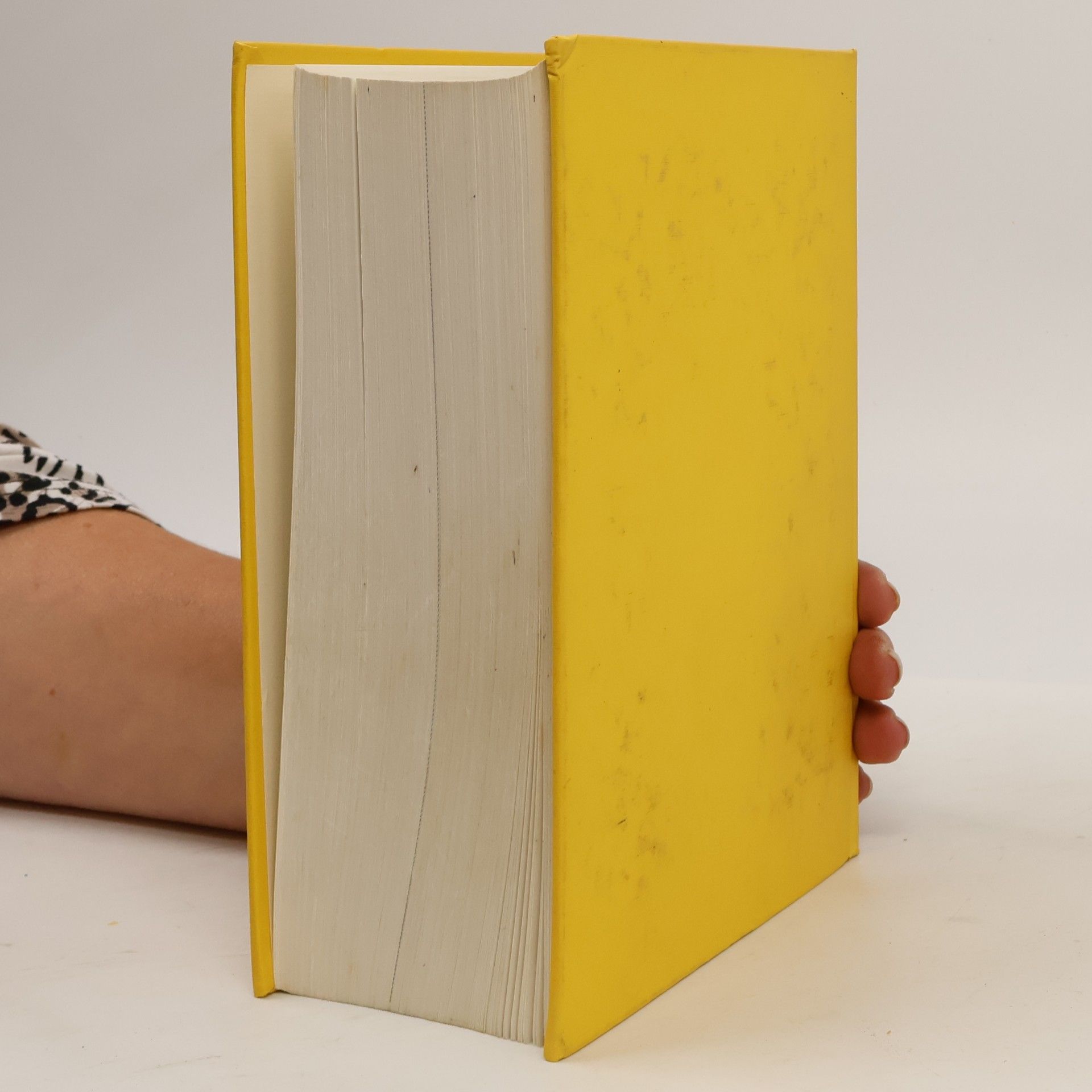 Autorenkollektiv Das Große Wörterbuch
